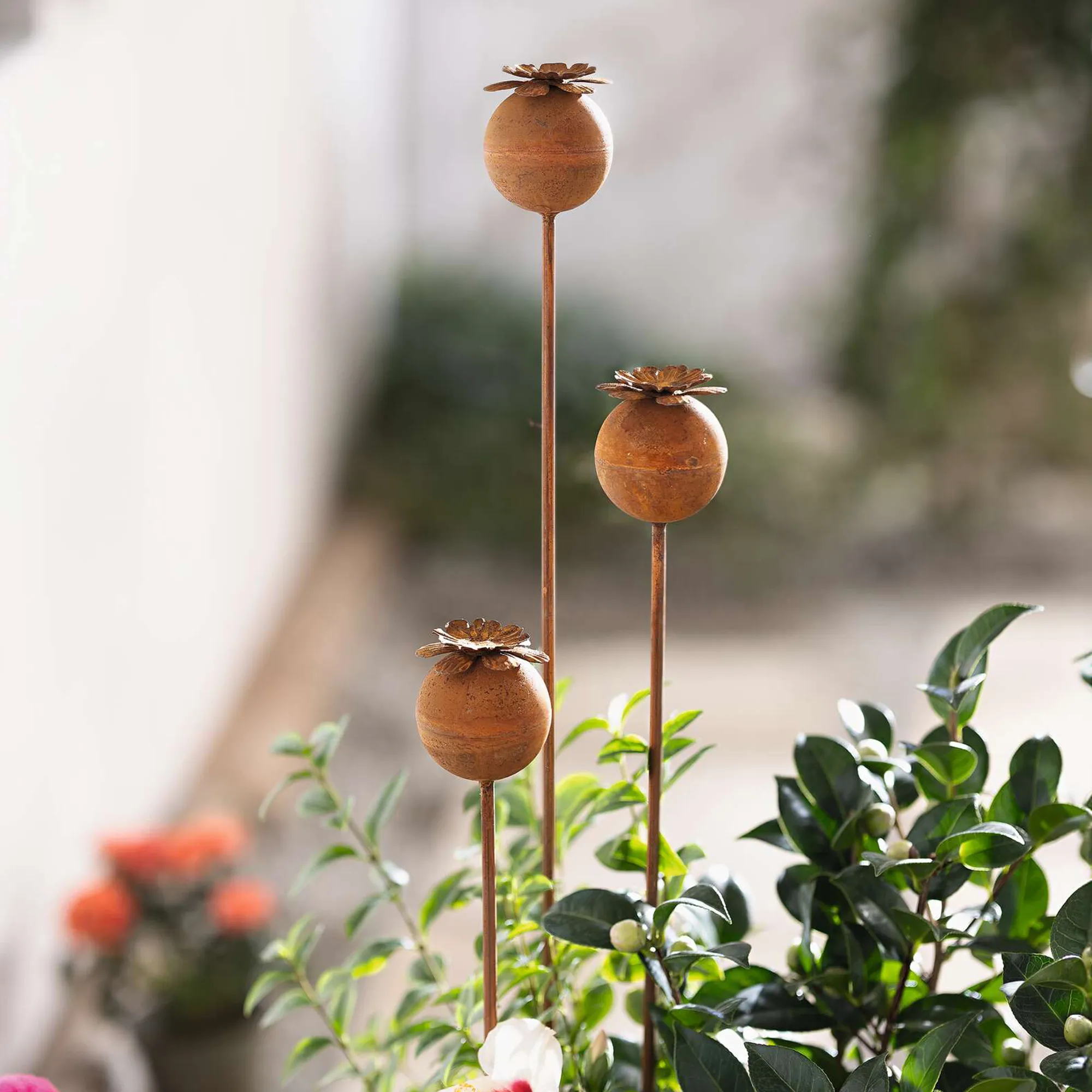 Gartenstecker "Mohn", 3er Set  im Frank Flechtwaren Online Shop kaufen