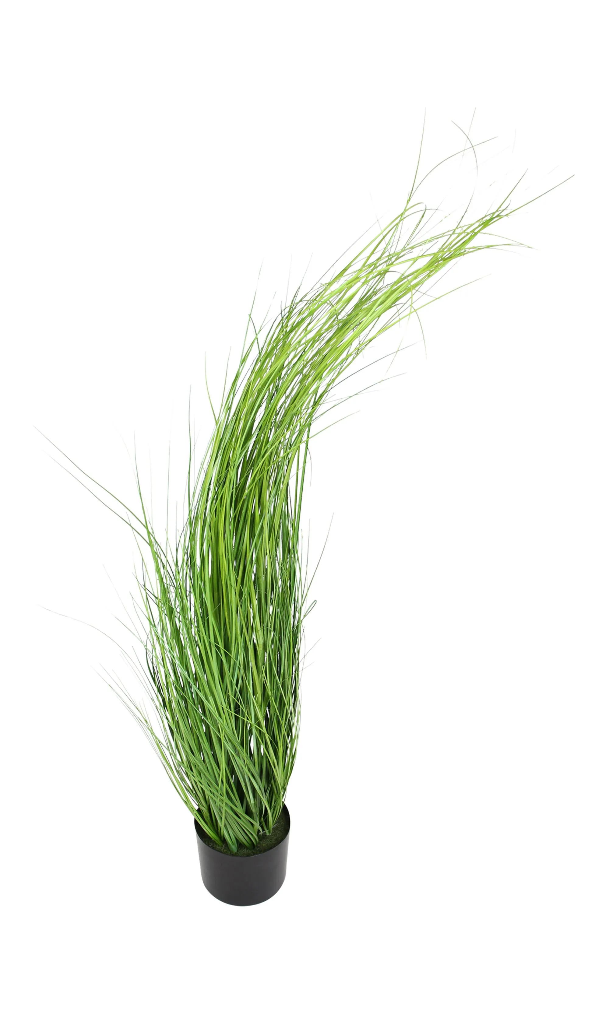 Pflanze "Gras"  im Frank Flechtwaren Online Shop für Kunstpflanzen kaufen
