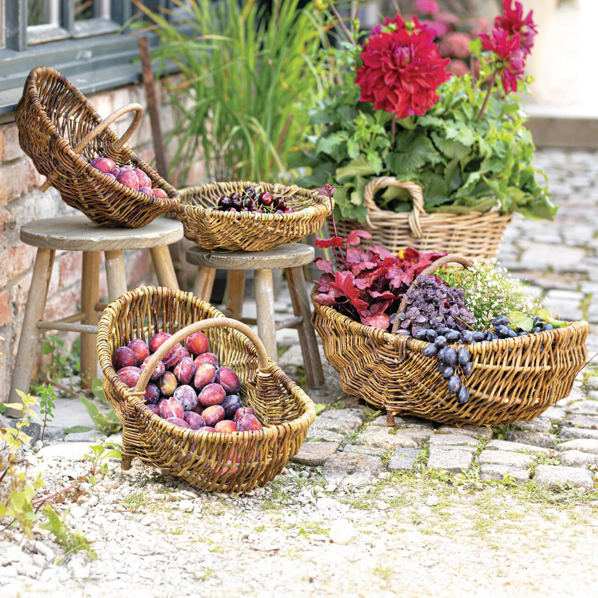 Korb "Holzbügel", groß  im Frank Flechtwaren Online Shop kaufen