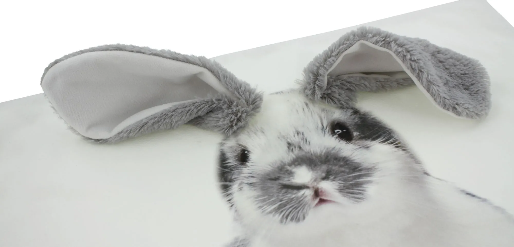 Kissenhülle "Schlappohr"  im Frank Flechtwaren Online Shop für For Animal Lovers kaufen