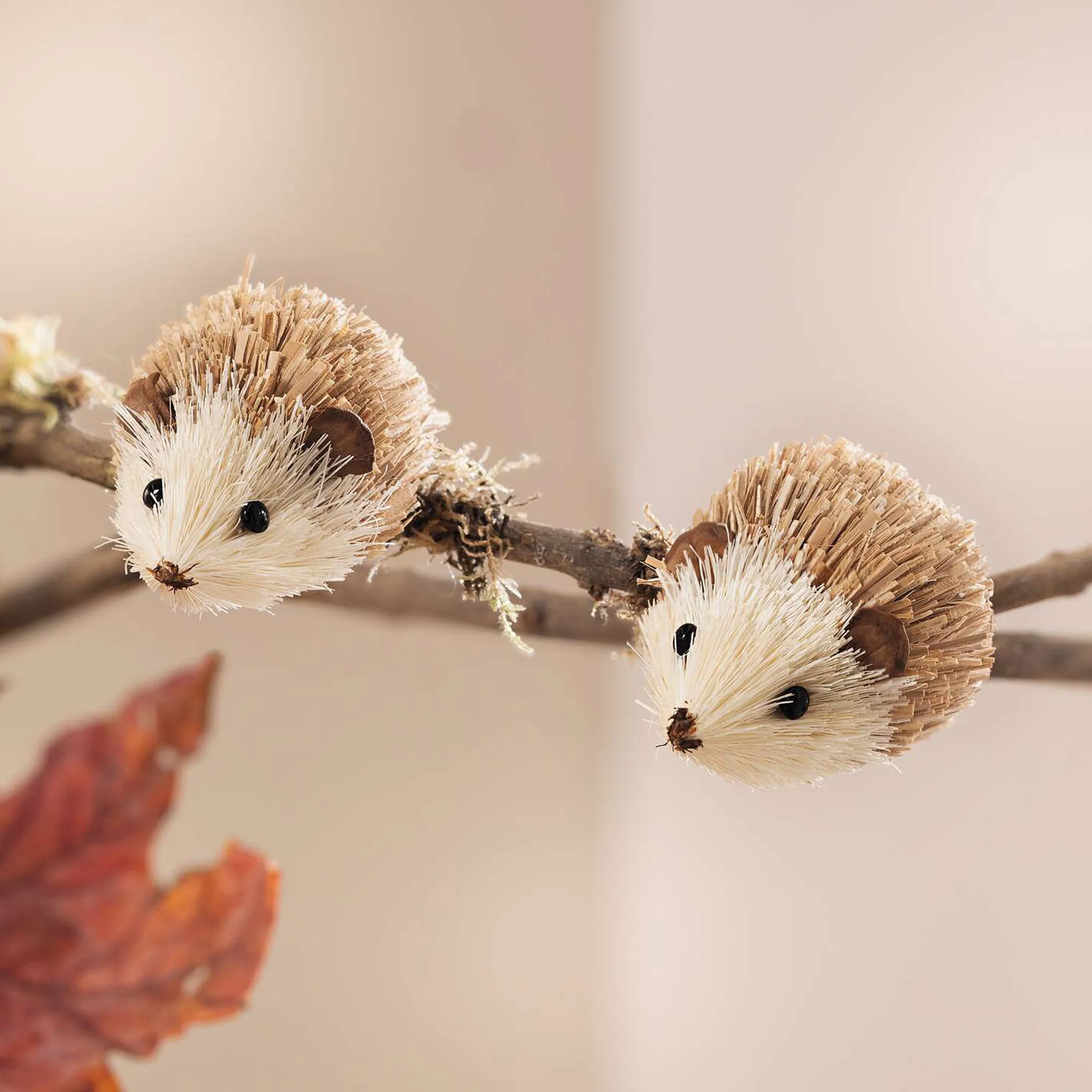 Clip "Igelchen", 2er Set  im Frank Flechtwaren Online Shop für For Animal Lovers kaufen