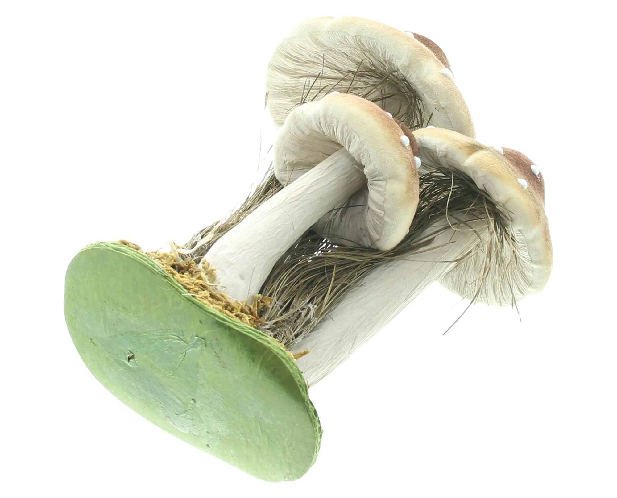 Herbst-Deko "Pilze"  im Frank Flechtwaren Online Shop für Dekopilze kaufen