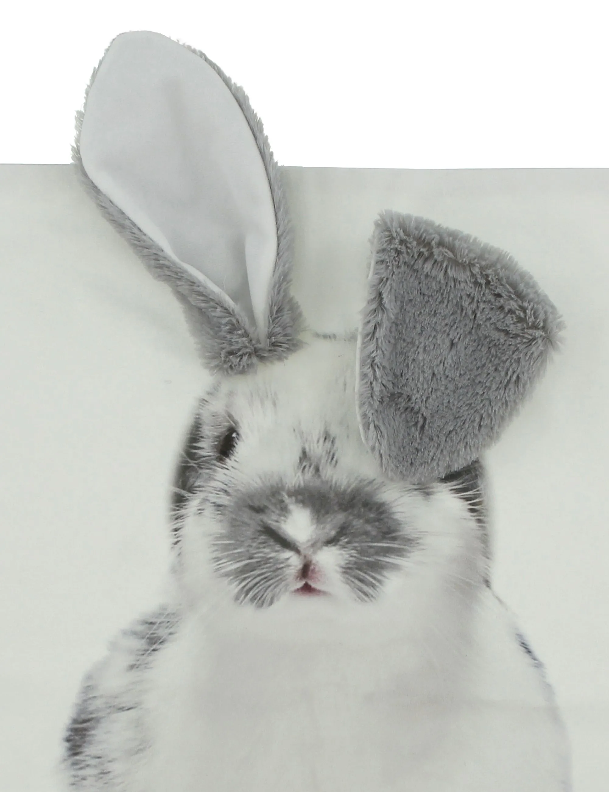 Kissenhülle "Schlappohr"  im Frank Flechtwaren Online Shop für For Animal Lovers kaufen