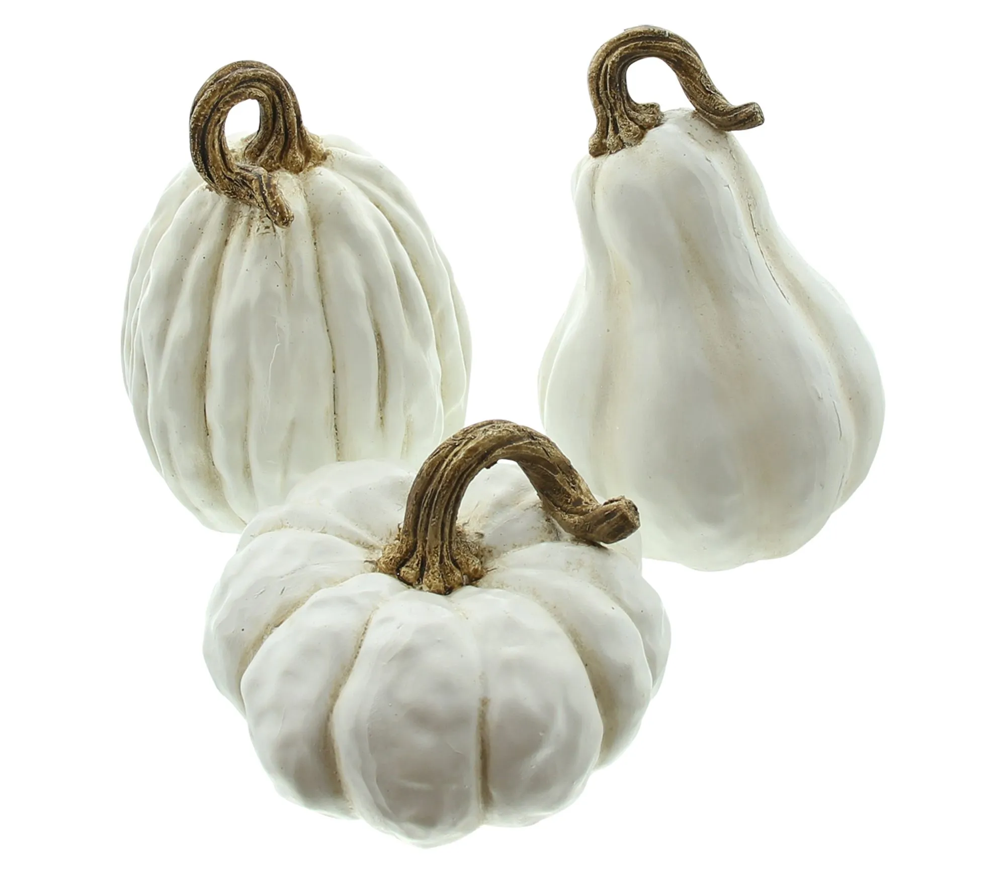 Kürbis "White", 3er Set  im Frank Flechtwaren Online Shop für Dekokürbisse kaufen
