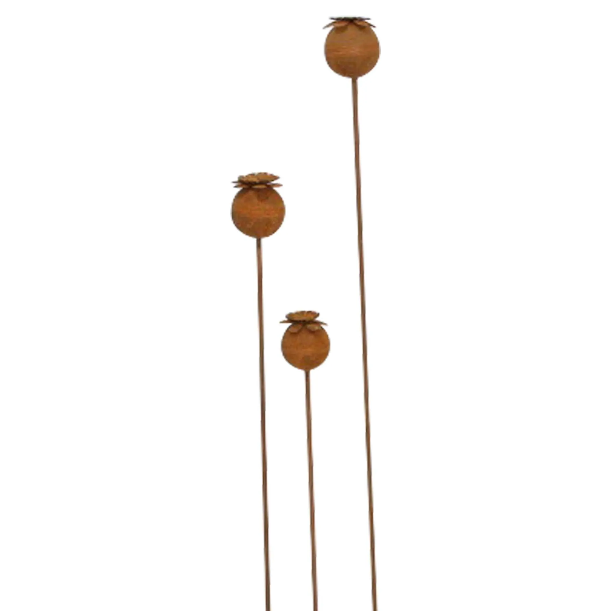 Gartenstecker "Mohn", 3er Set  im Frank Flechtwaren Online Shop für Rostdeko für Ihren Garten kaufen