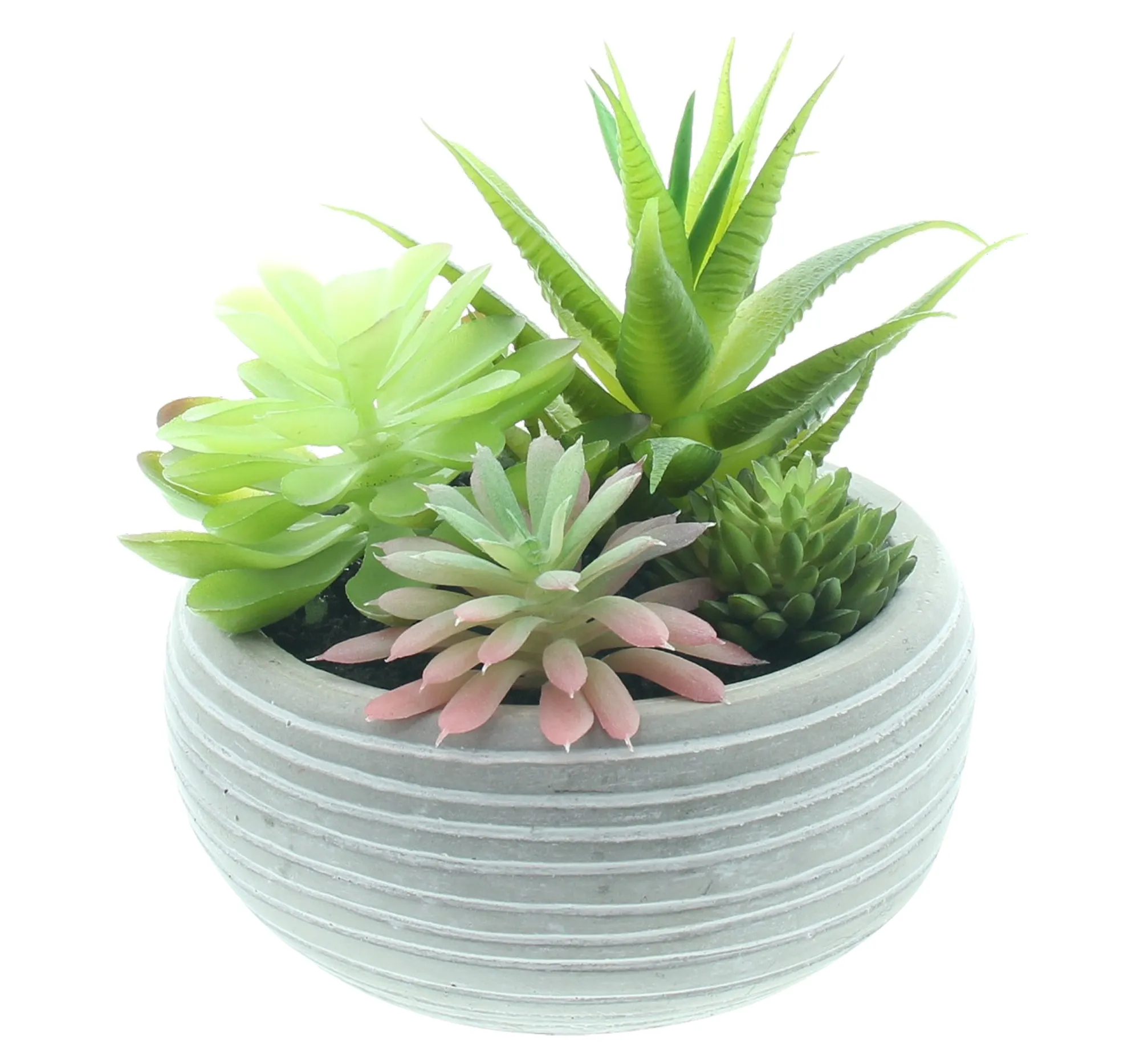 Kunstpflanze "Sukkulenten im Topf"  im Frank Flechtwaren Online Shop für Natur &amp; Grün kaufen