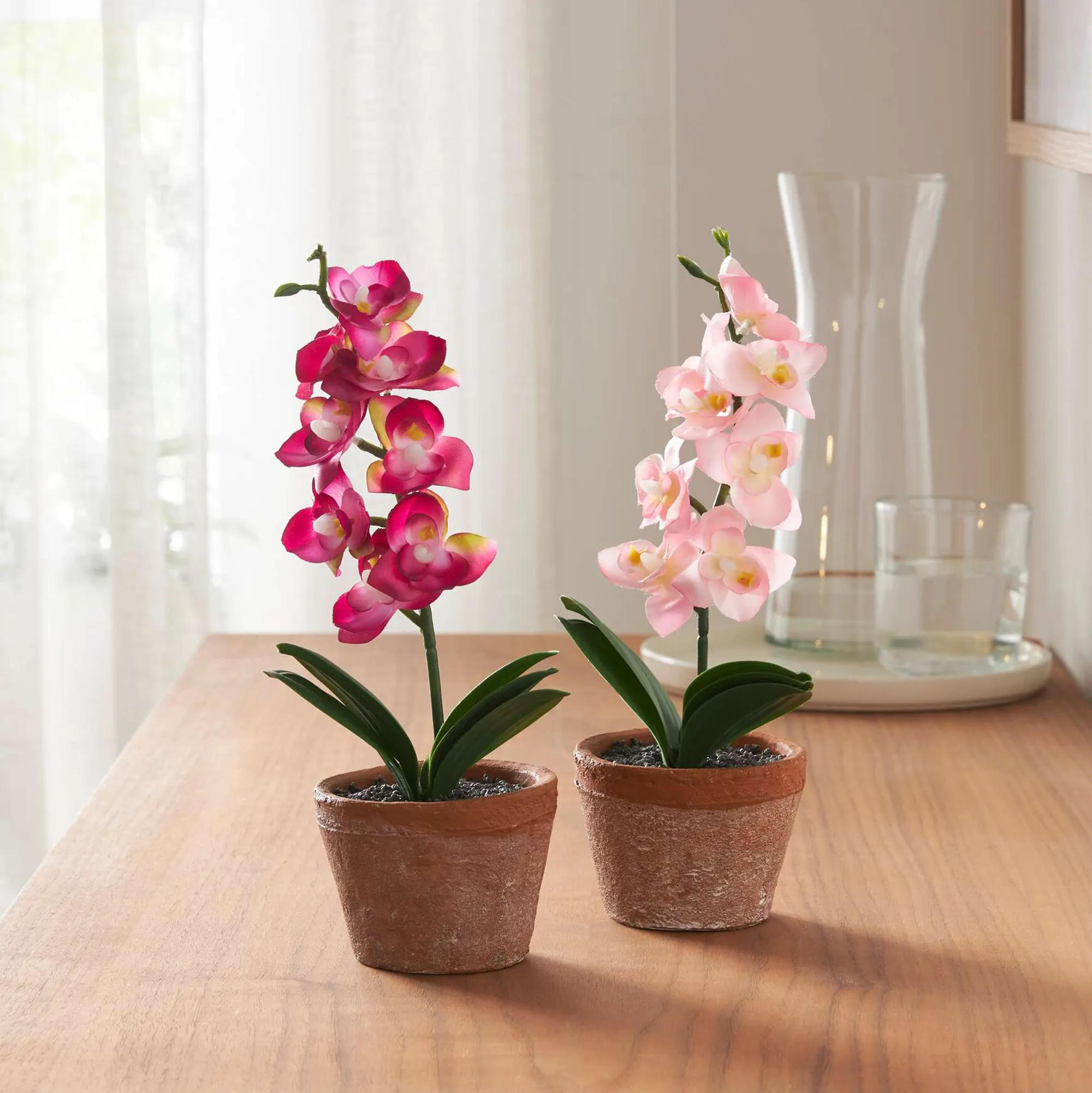 Orchidee im Topf, 2er Set  im Frank Flechtwaren Online Shop kaufen