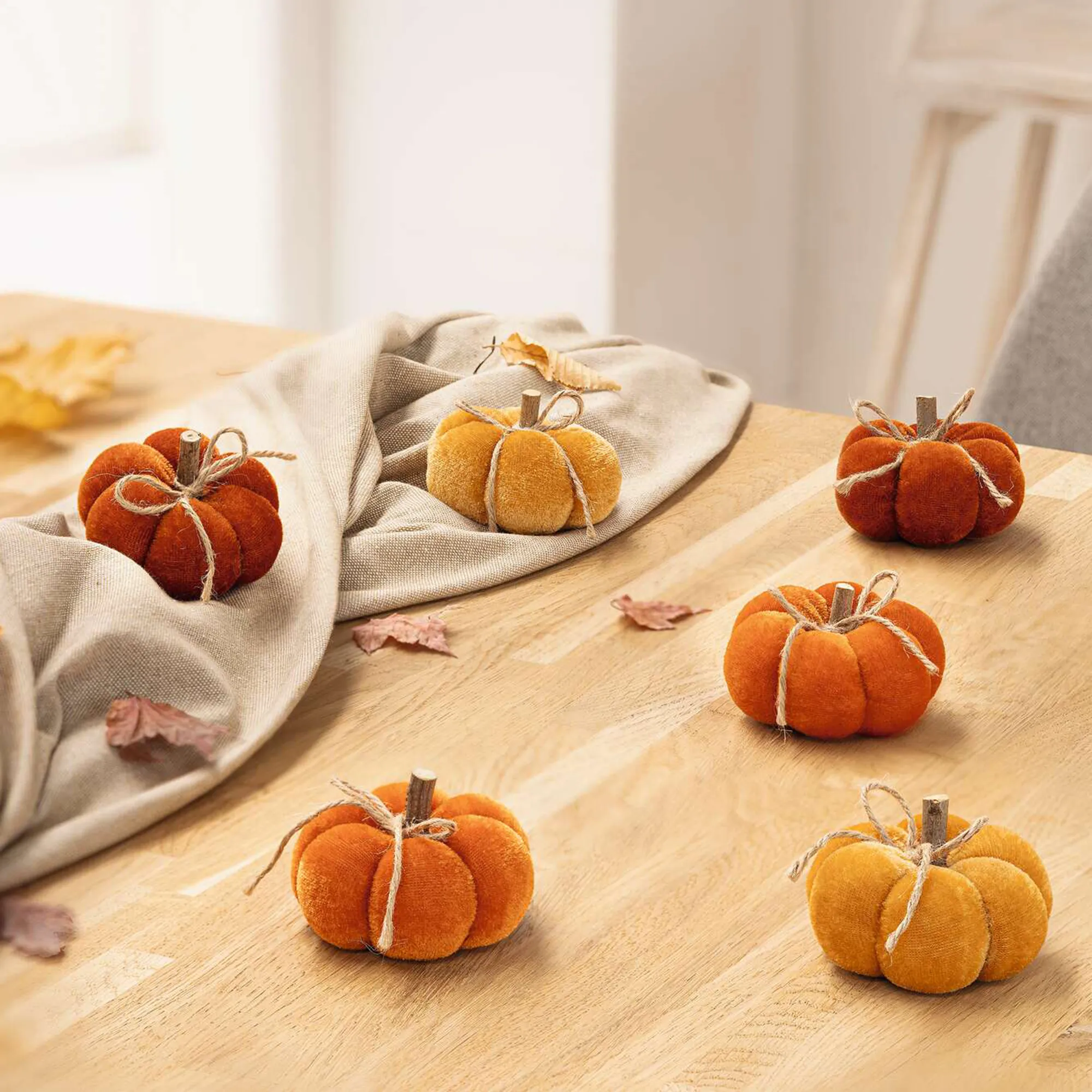 Kürbis "Herbstfarben", 6er Set  im Frank Flechtwaren Online Shop kaufen