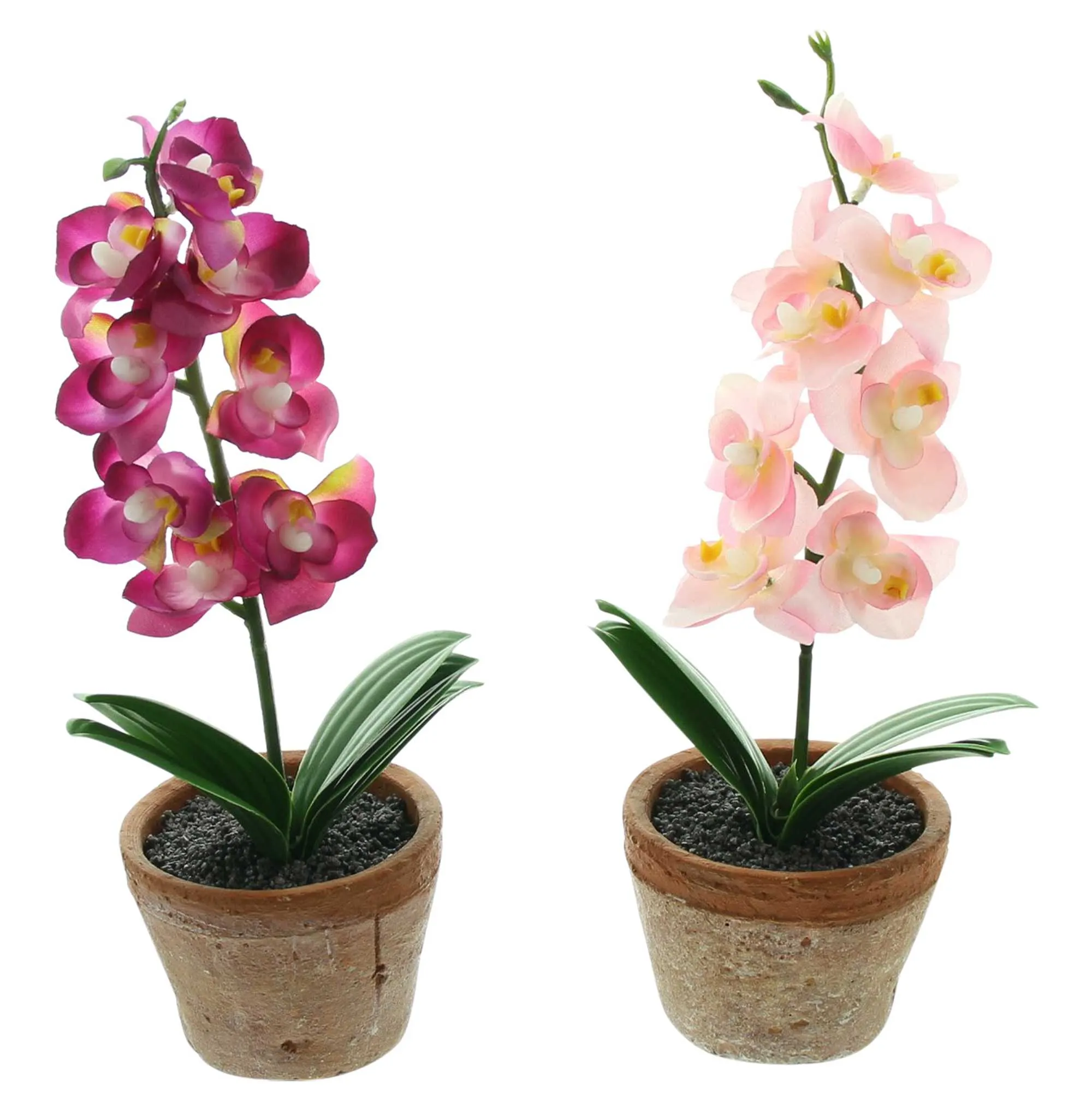 Orchidee im Topf, 2er Set  im Frank Flechtwaren Online Shop für Kunstpflanzen kaufen
