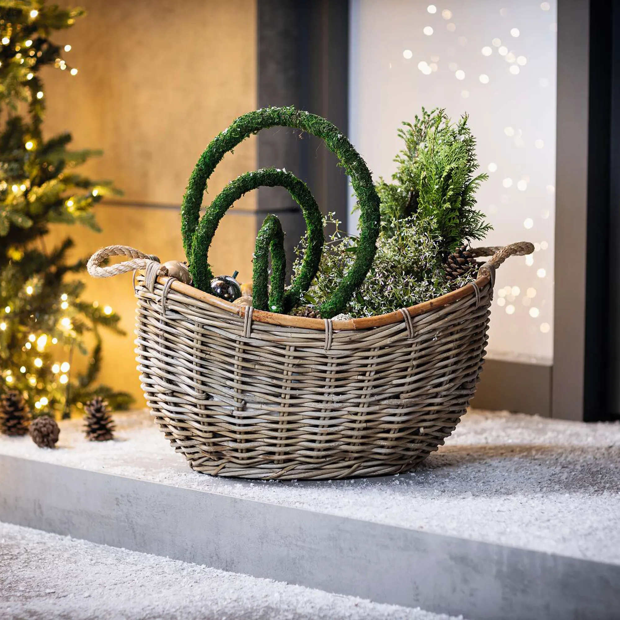 Pflanzschiff "Rattan"  im Frank Flechtwaren Online Shop kaufen