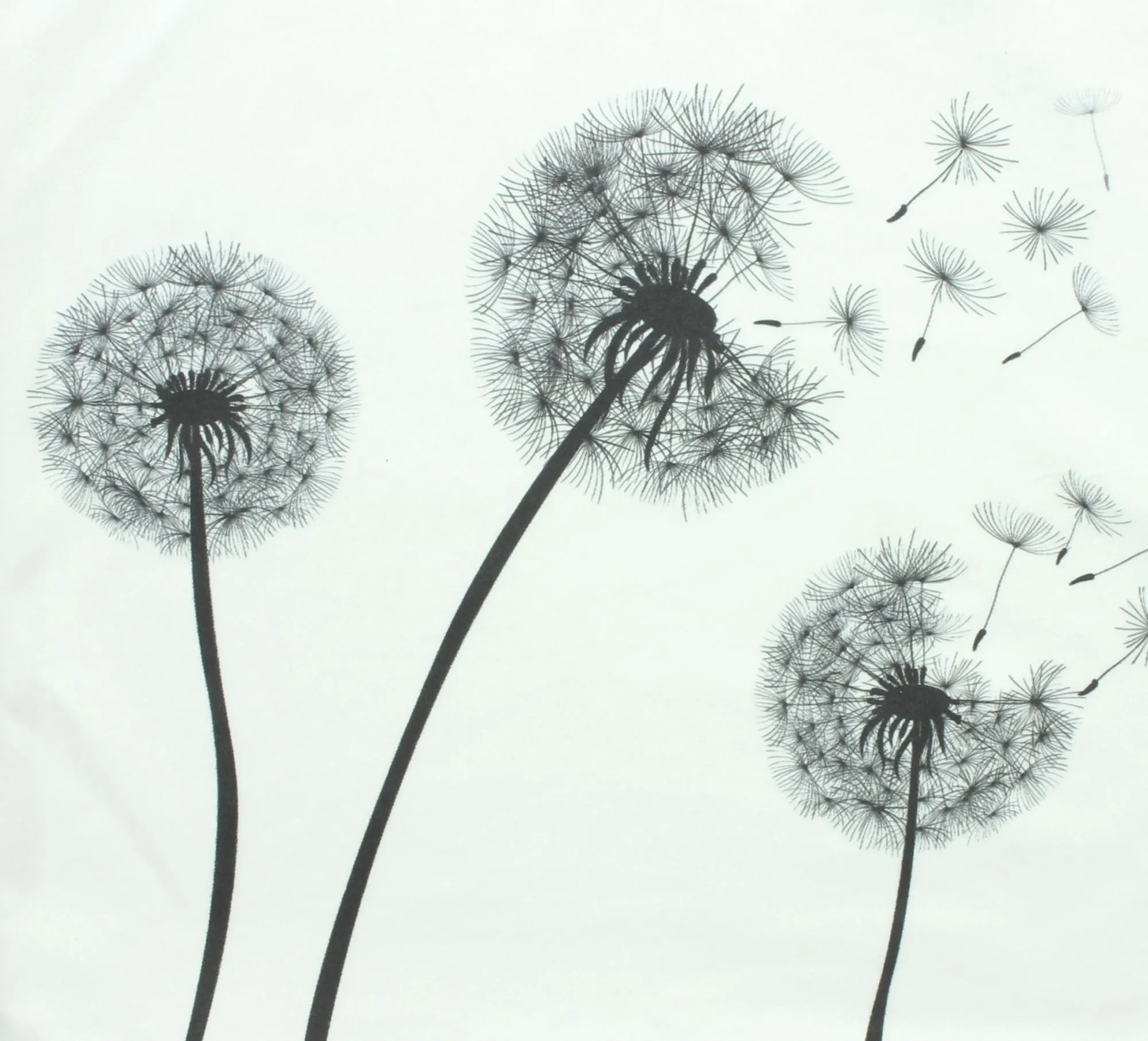 Kissenhülle "Pusteblume"  im Frank Flechtwaren Online Shop für Kissenhüllen kaufen