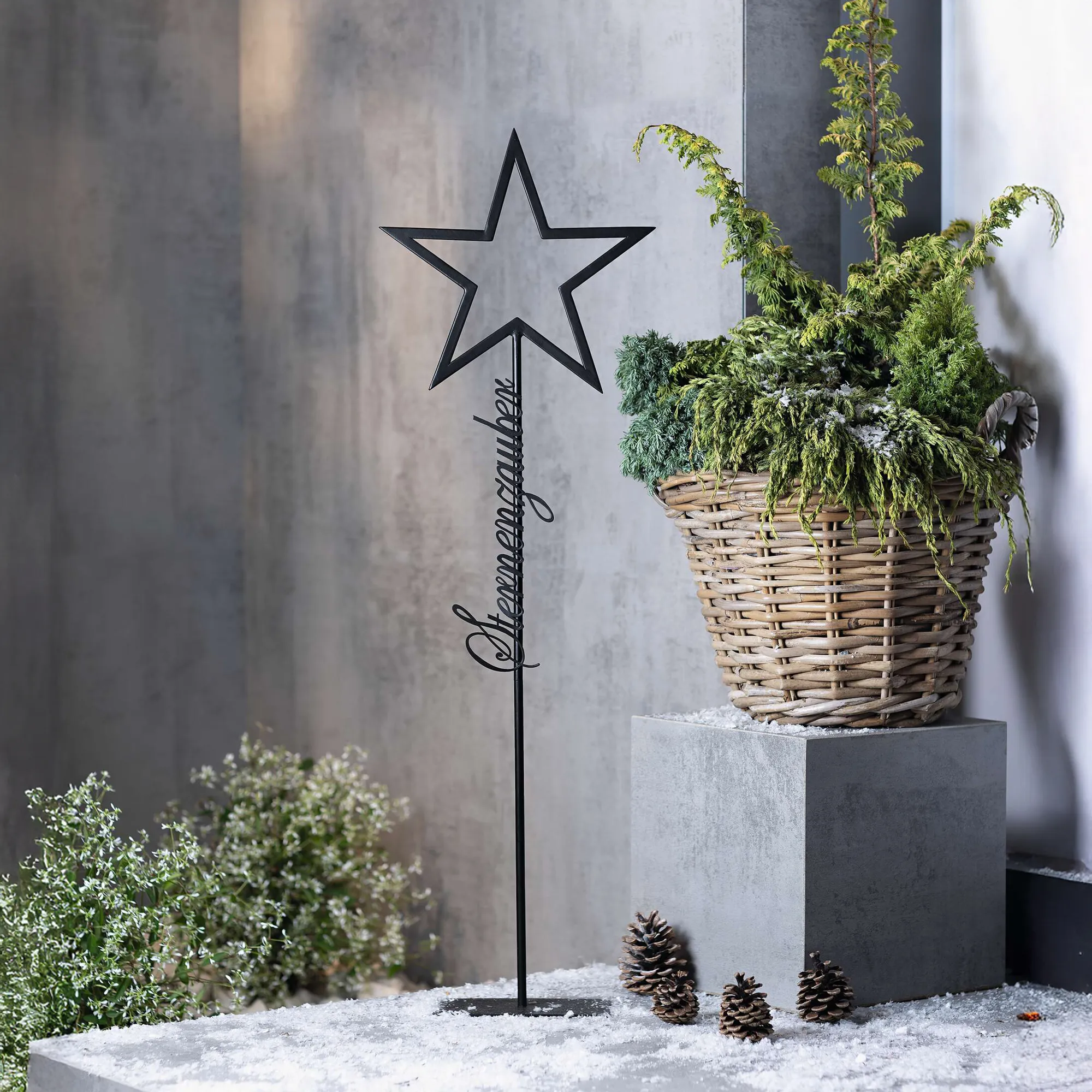 Metalldeko "Sternenzauber"  im Frank Flechtwaren Online Shop kaufen