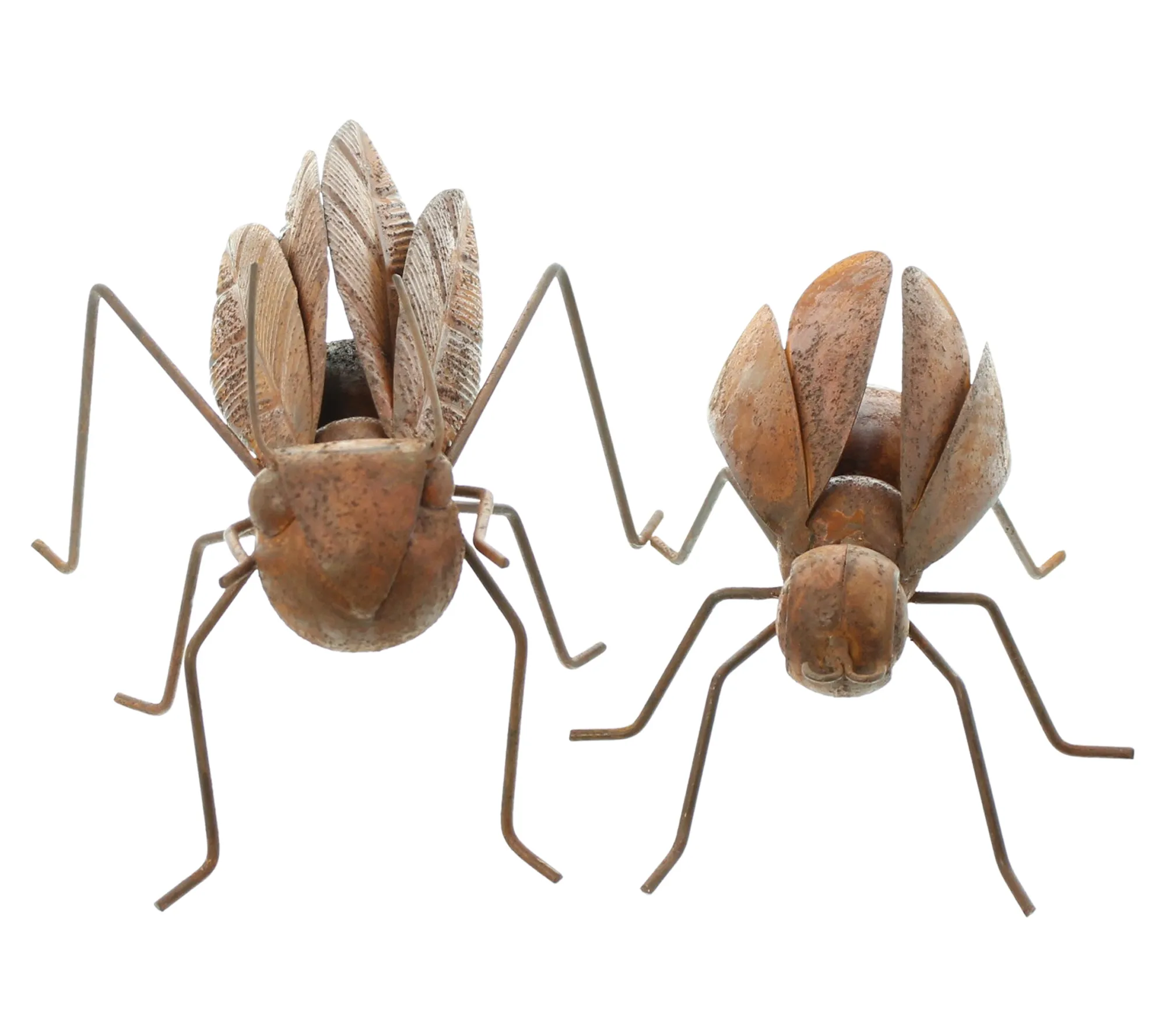 Gartenfigur "Insekten", 2er Set  im Frank Flechtwaren Online Shop für For Animal Lovers kaufen