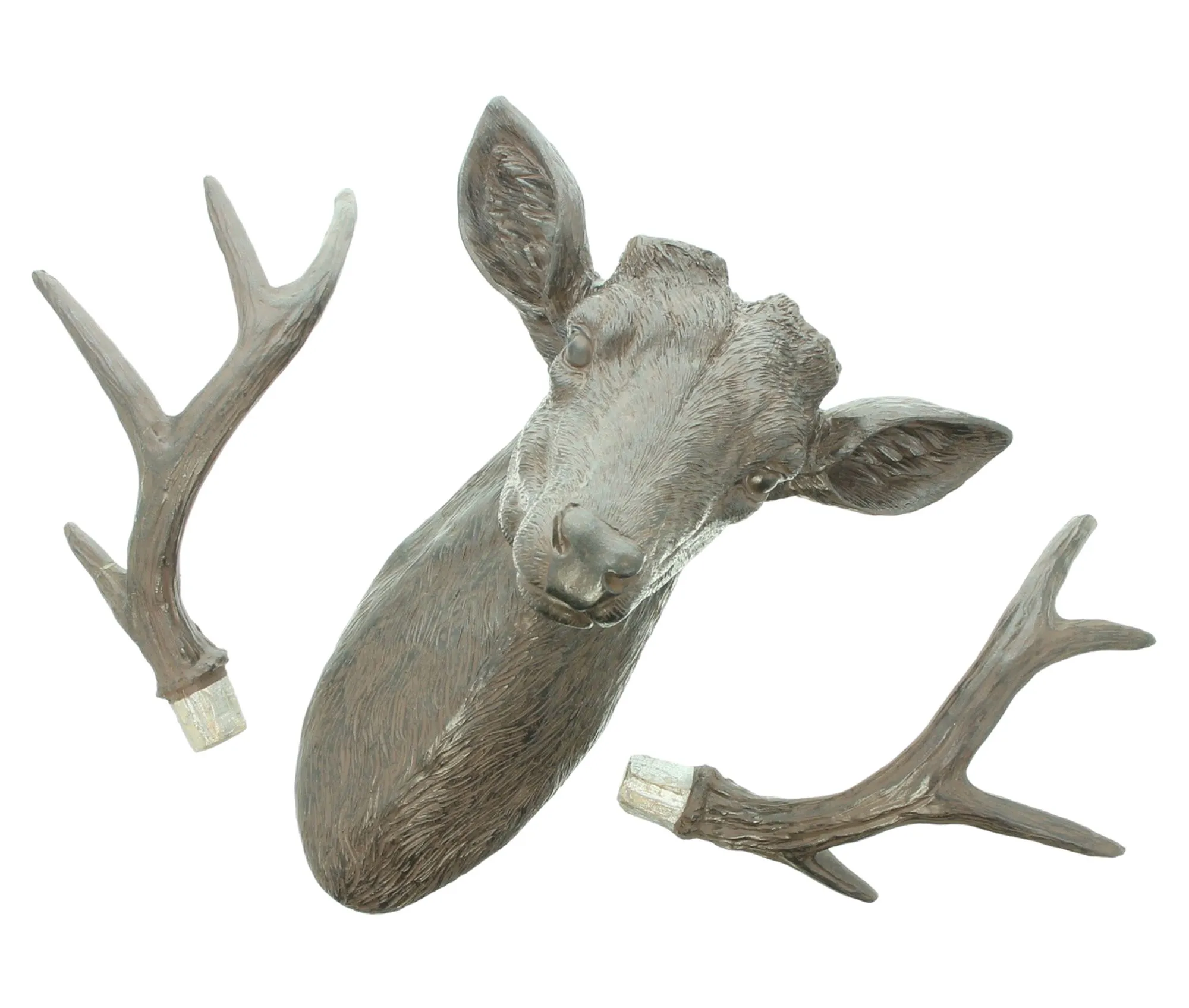 Wand-Deko "Hirschkopf"  im Frank Flechtwaren Online Shop für For Animal Lovers kaufen