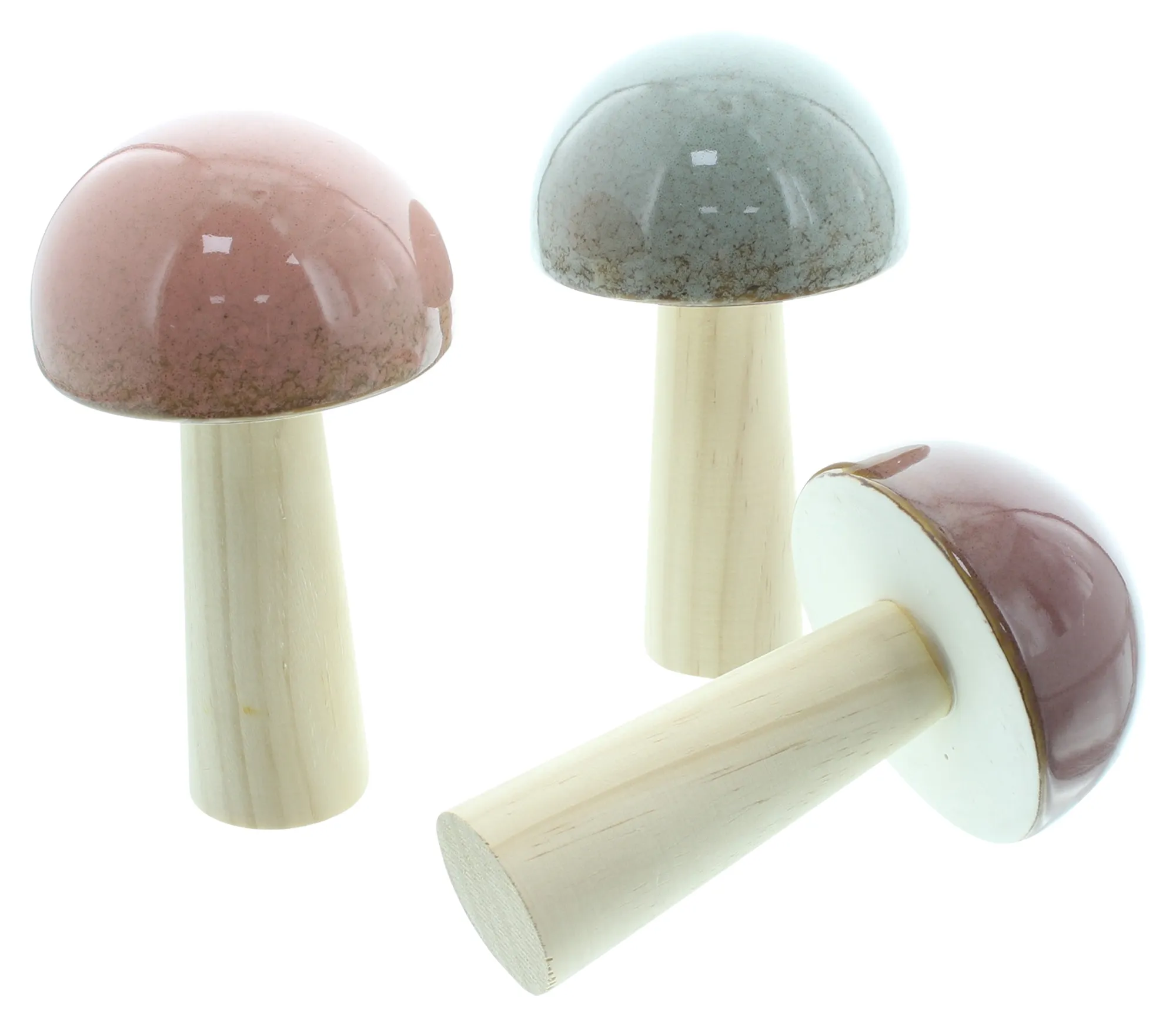 Pilz "Glossy", 3er Set  im Frank Flechtwaren Online Shop für Dekopilze kaufen
