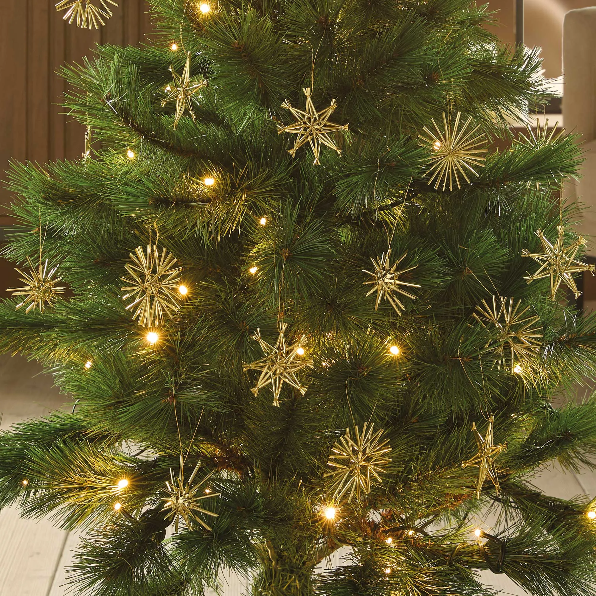 Weihnachtsstern "Gold", 32er Set  im Frank Flechtwaren Online Shop kaufen