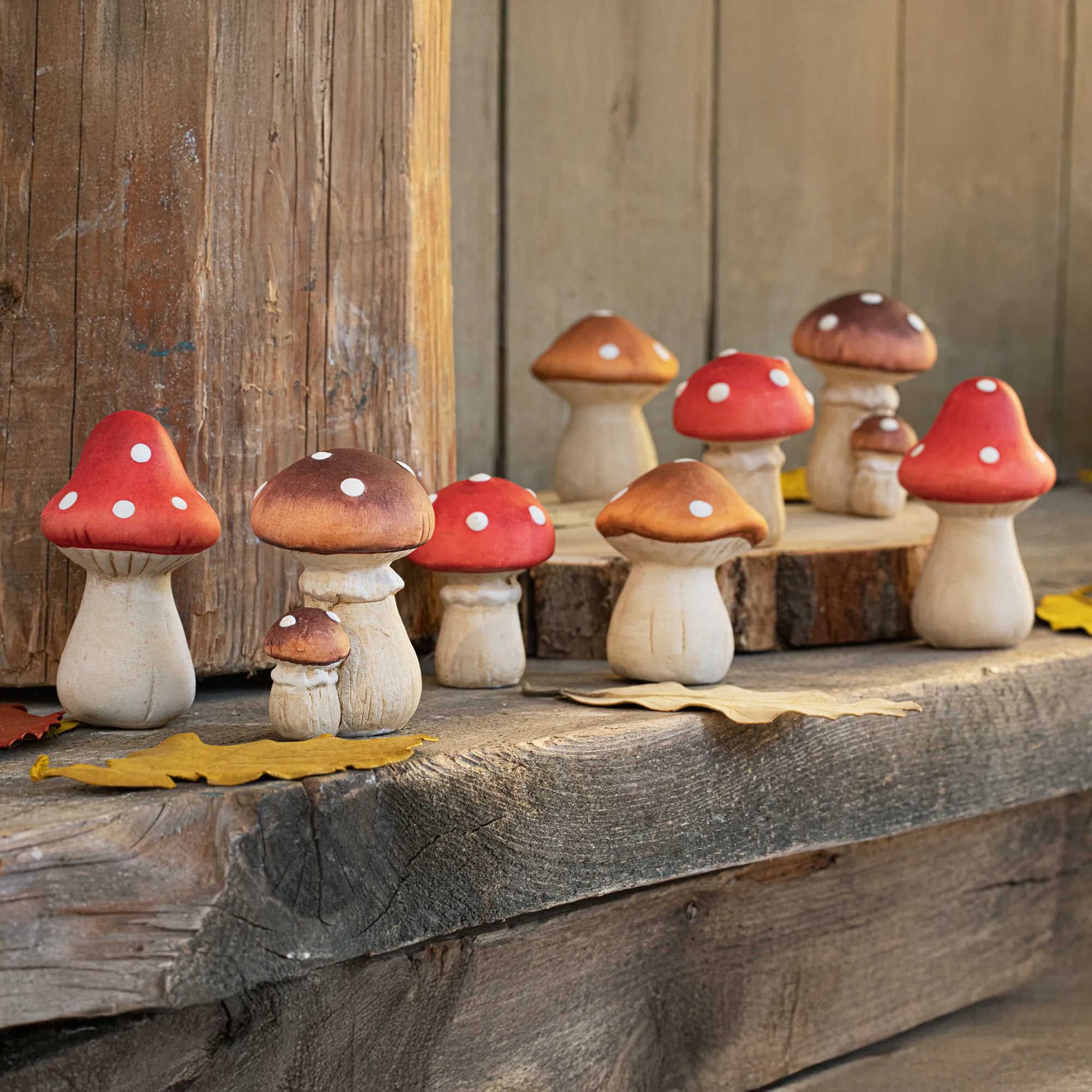 Fliegenpilz "Petit", 8er Set  im Frank Flechtwaren Online Shop kaufen