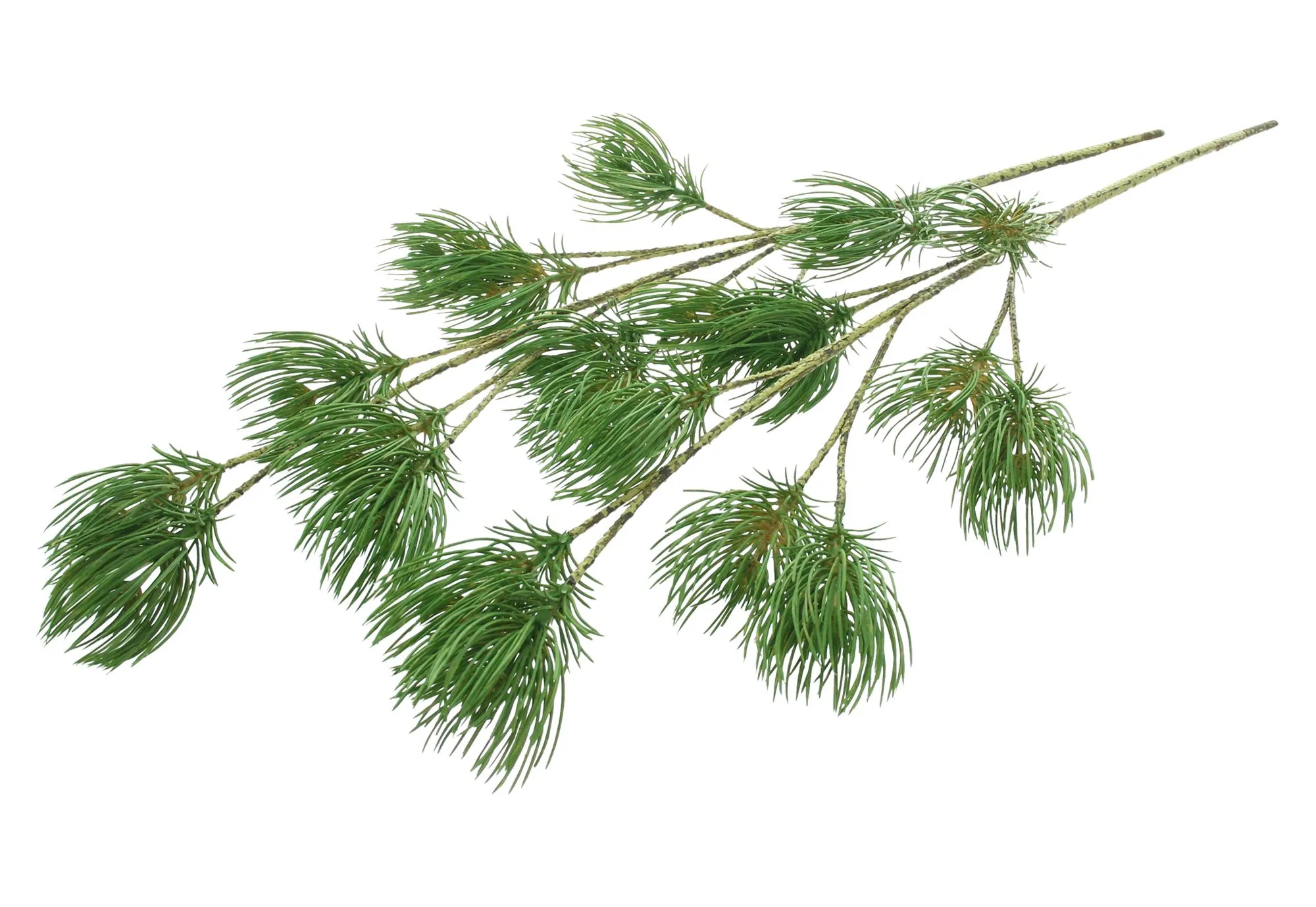 Kunstzweig "Pinie", 2er Set  im Frank Flechtwaren Online Shop für Zubehör für Adventskränze kaufen