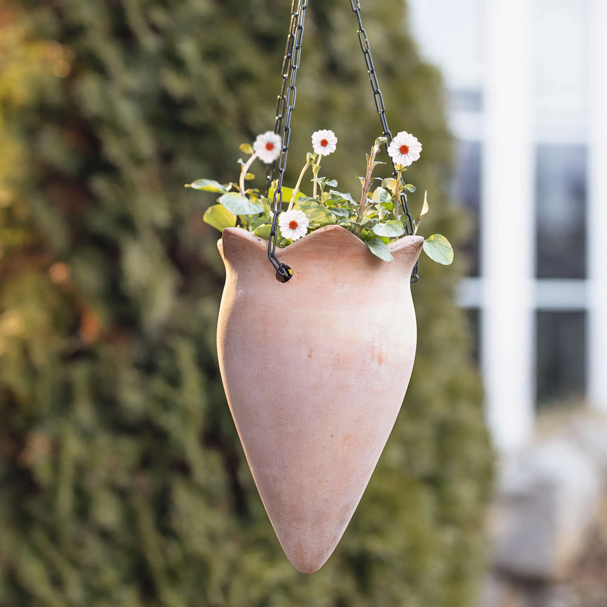 Pflanzampel "Terracotta"  im Frank Flechtwaren Online Shop kaufen