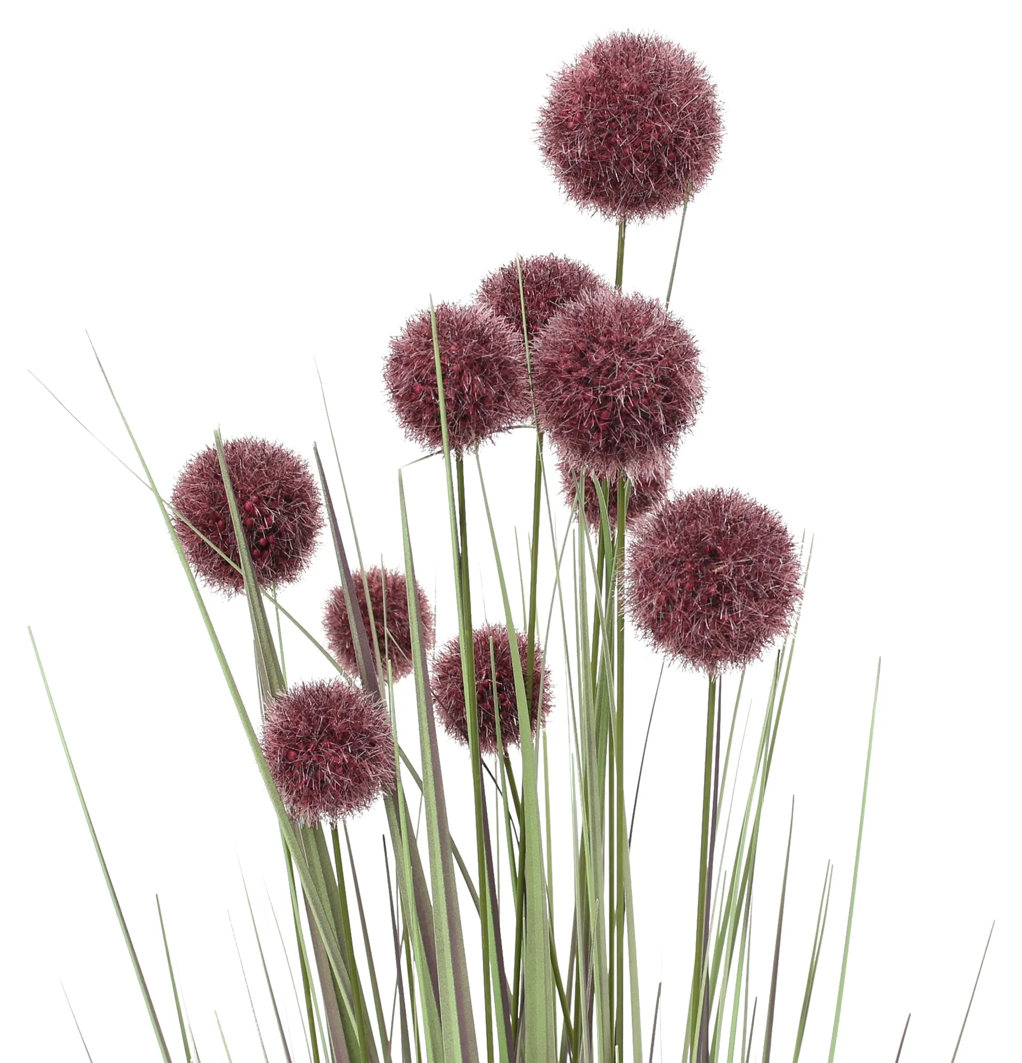 Topfpflanze "Allium"  im Frank Flechtwaren Online Shop für Beerentöne kaufen