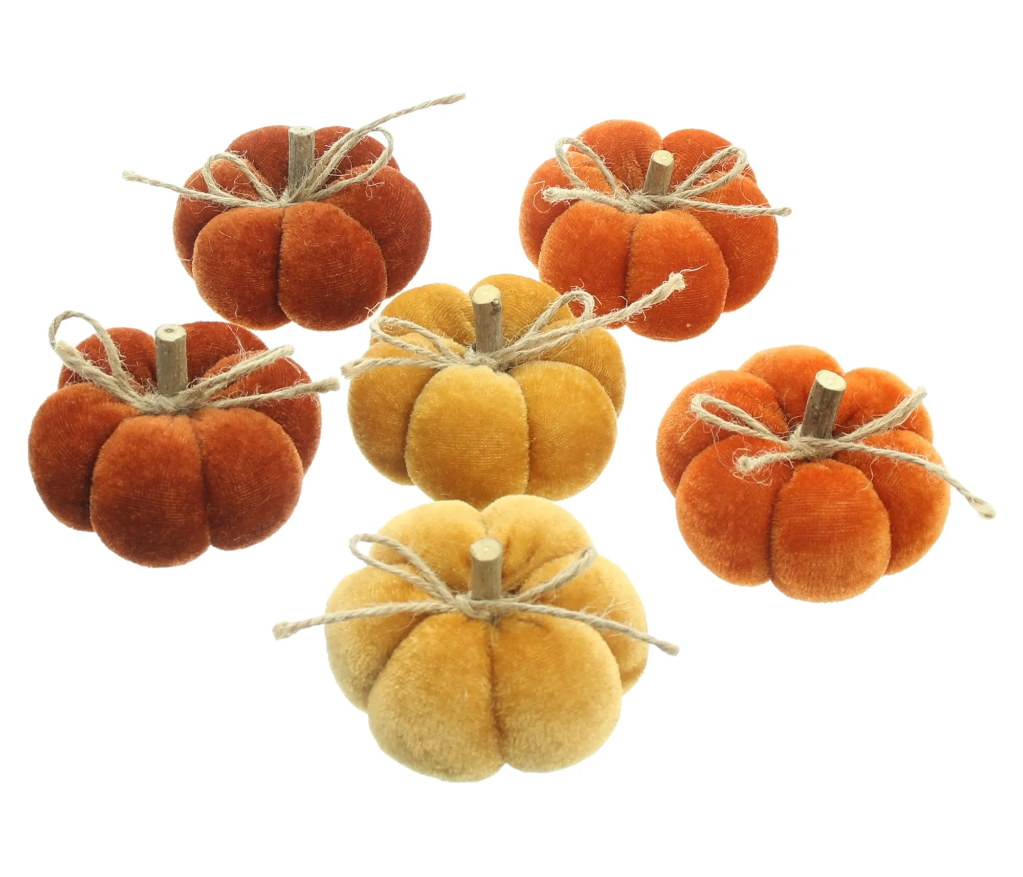 Kürbis "Herbstfarben", 6er Set  im Frank Flechtwaren Online Shop für Dekokürbisse kaufen