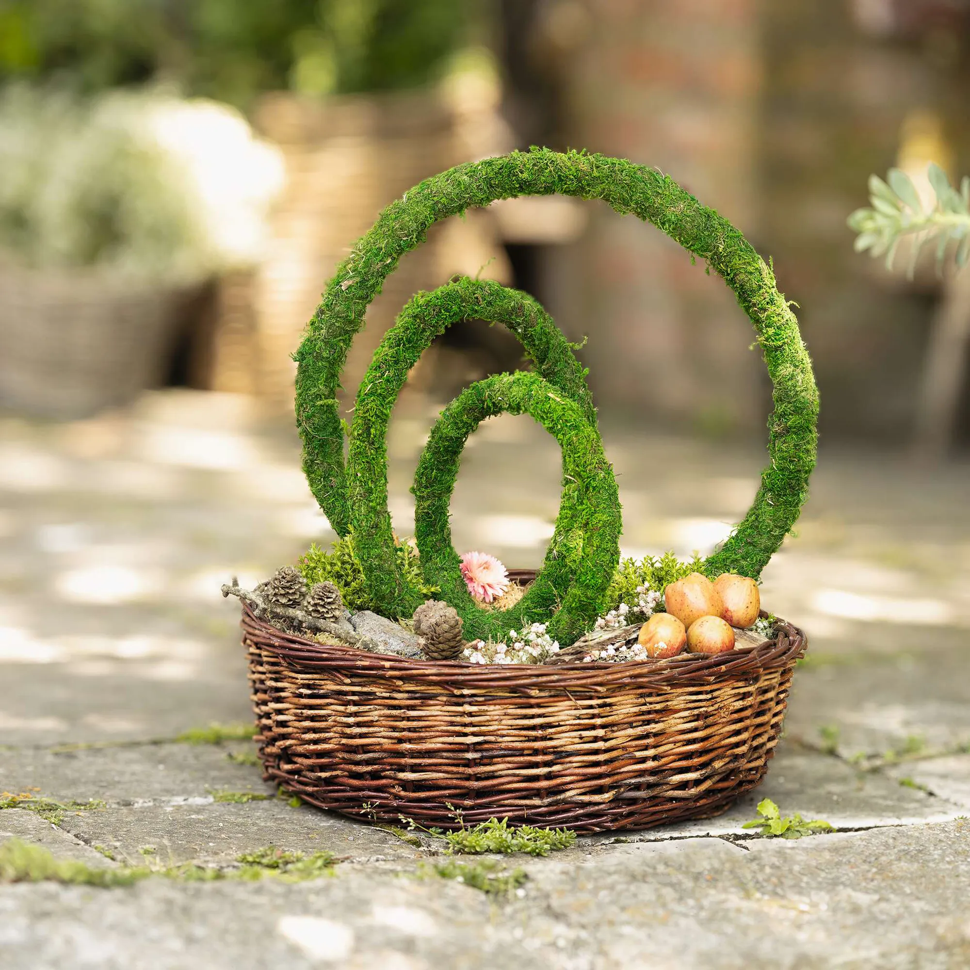 Dekoring "Moos", 3er Set  im Frank Flechtwaren Online Shop für Bunter Ostergarten kaufen