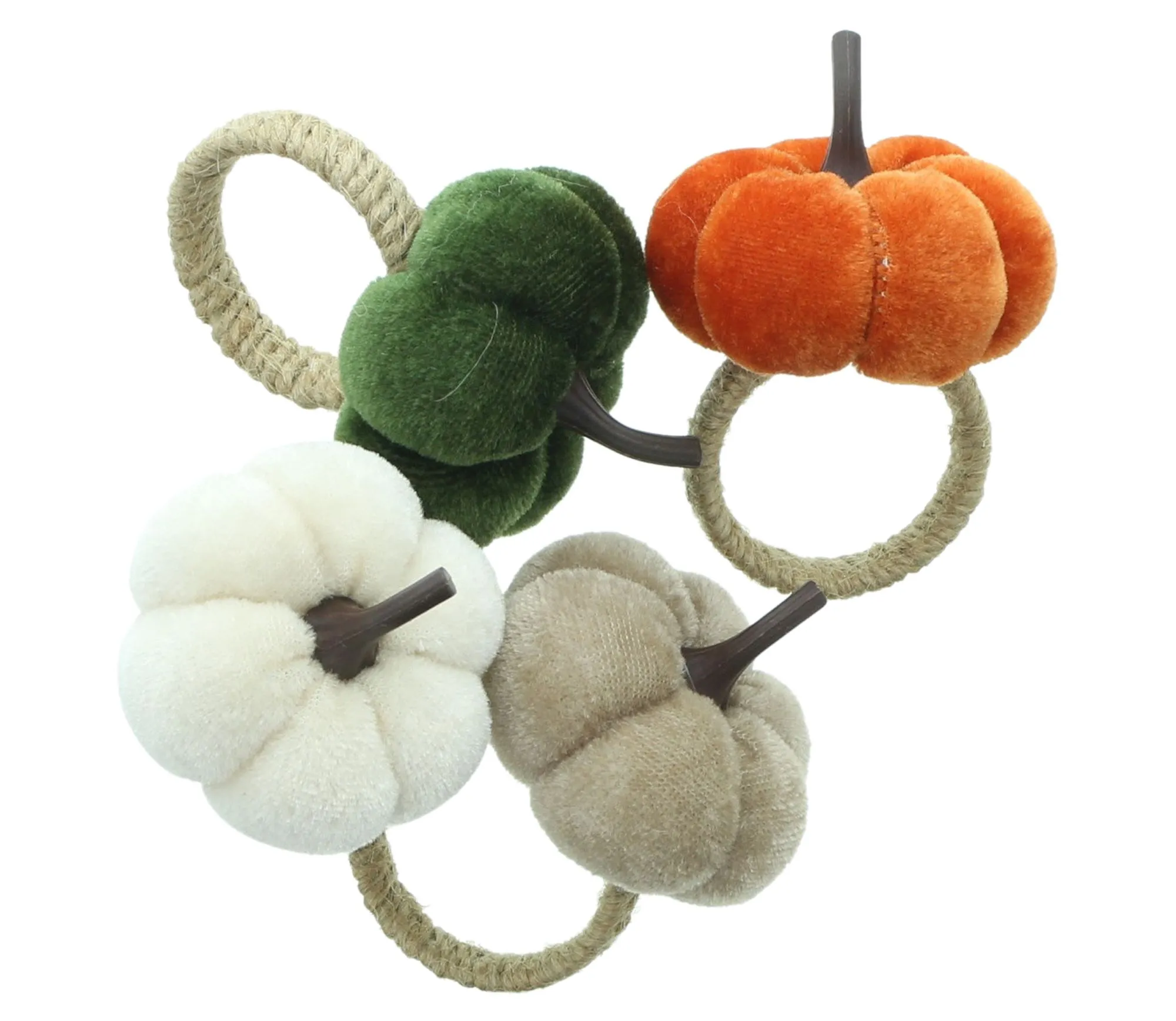 Serviettenring "Kürbis", 4er Set  im Frank Flechtwaren Online Shop für Dekokürbisse kaufen