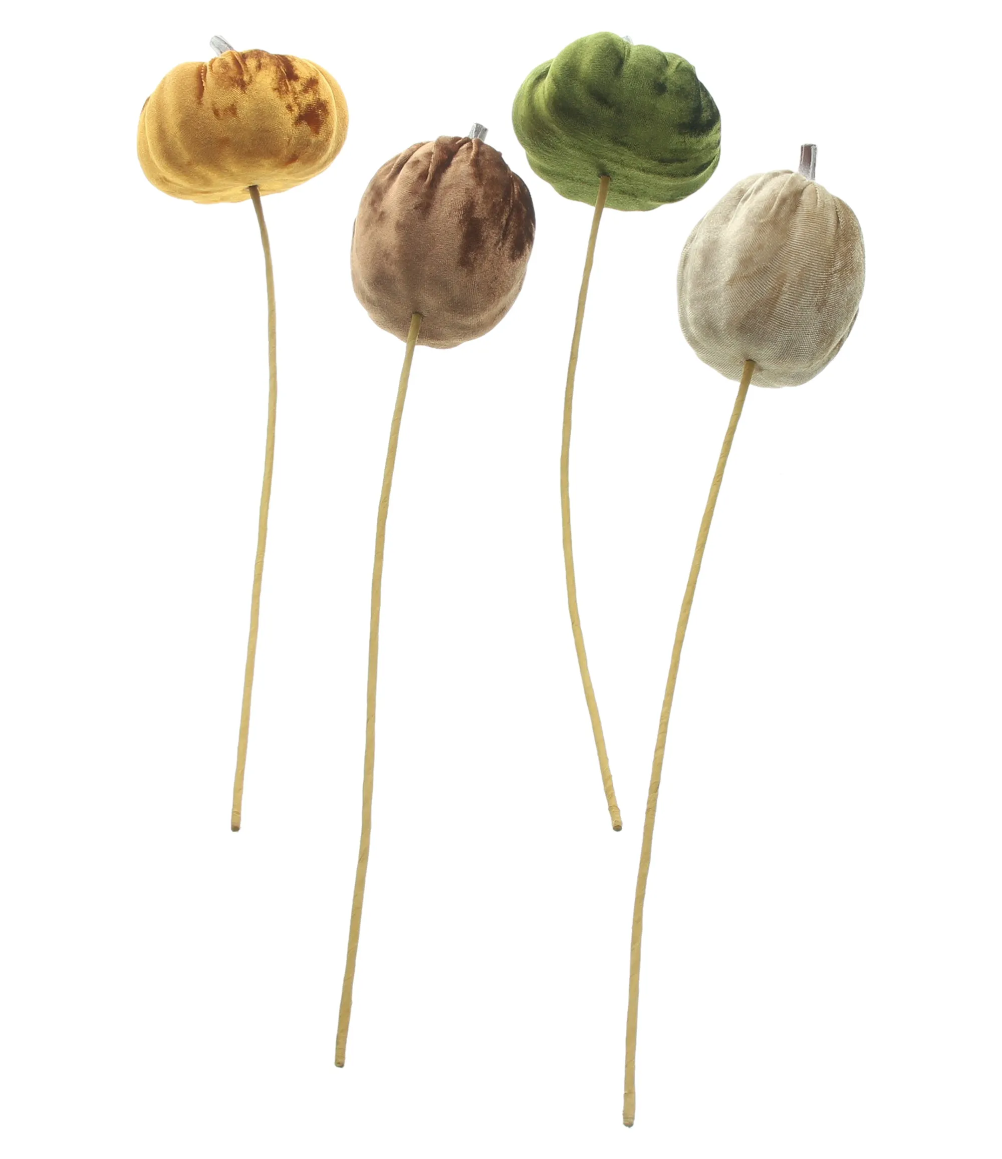 Stecker "Samtkürbis", 4er Set  im Frank Flechtwaren Online Shop kaufen
