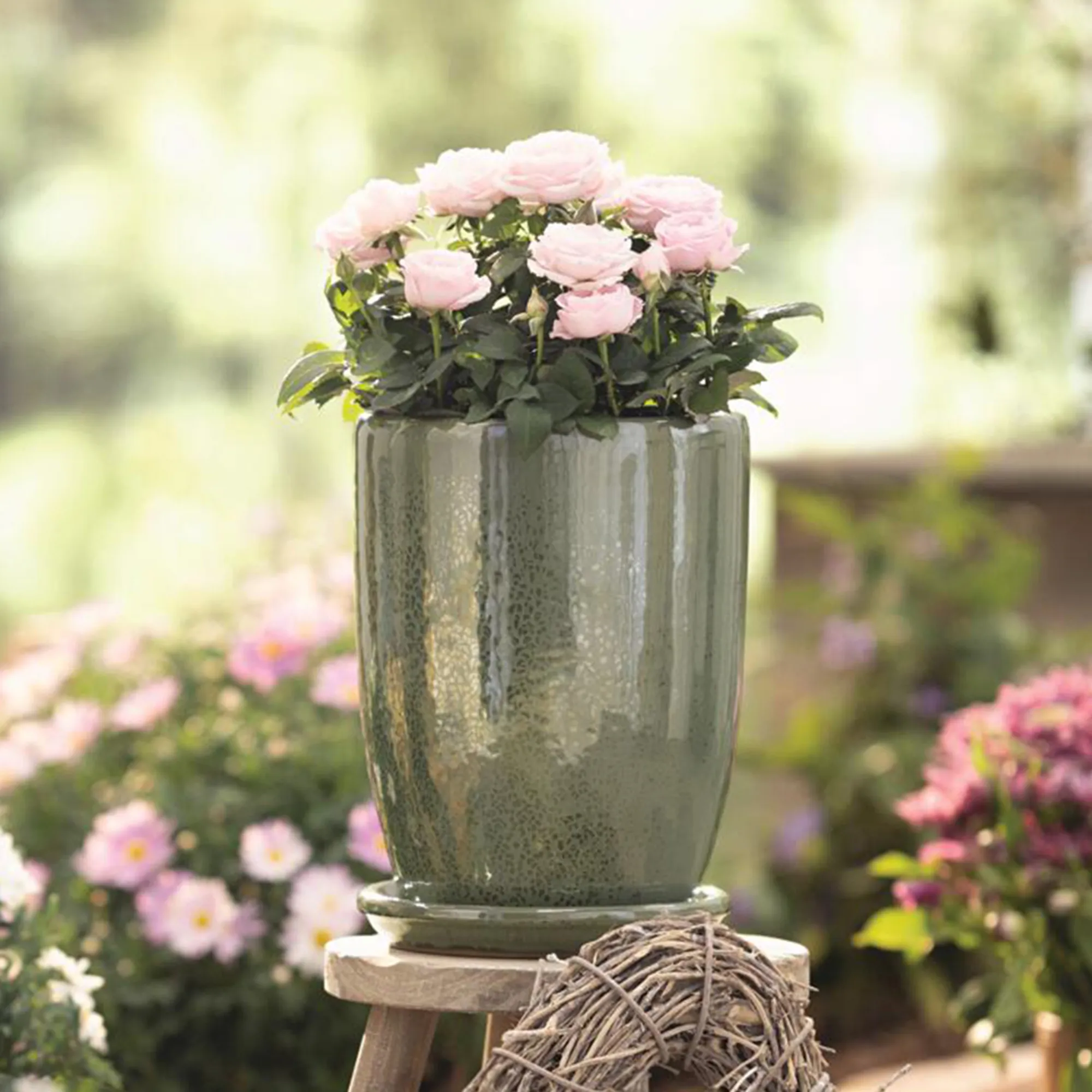 Pflanztopf "Olive Garden" mit Untersetzer, 2tlg.  im Frank Flechtwaren Online Shop kaufen