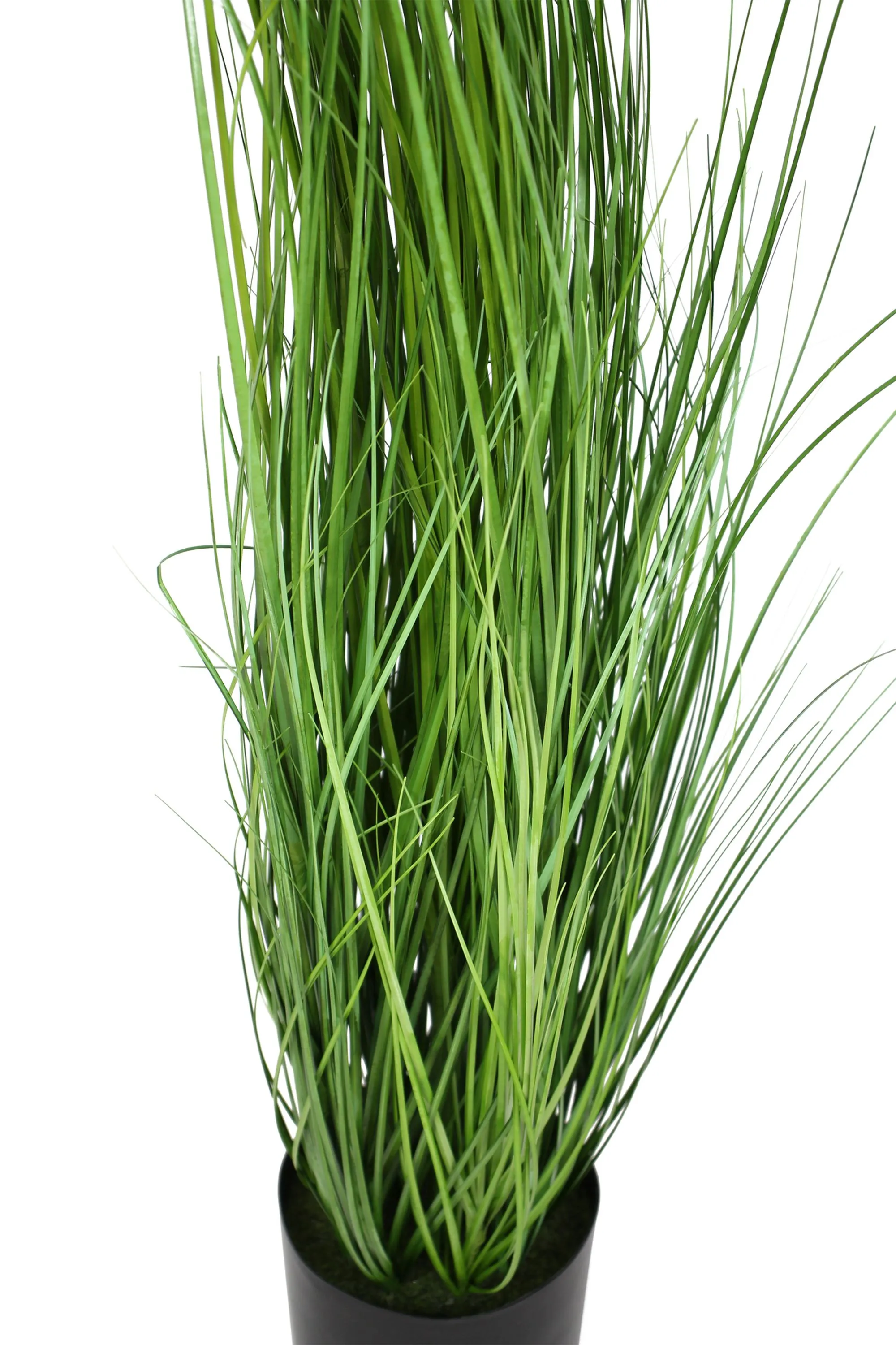 Pflanze "Gras"  im Frank Flechtwaren Online Shop für Kunstpflanzen kaufen