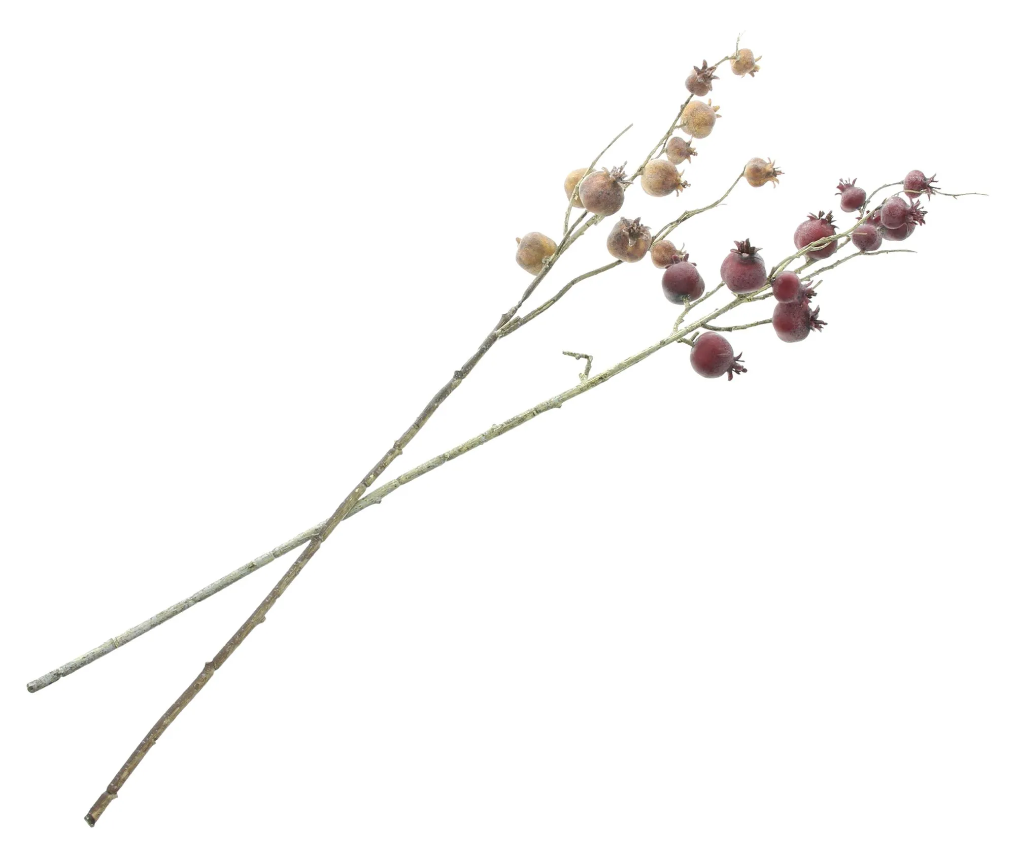Kunstzweig "Granatäpfelchen", 2er Set  im Frank Flechtwaren Online Shop für Gestecke kaufen
