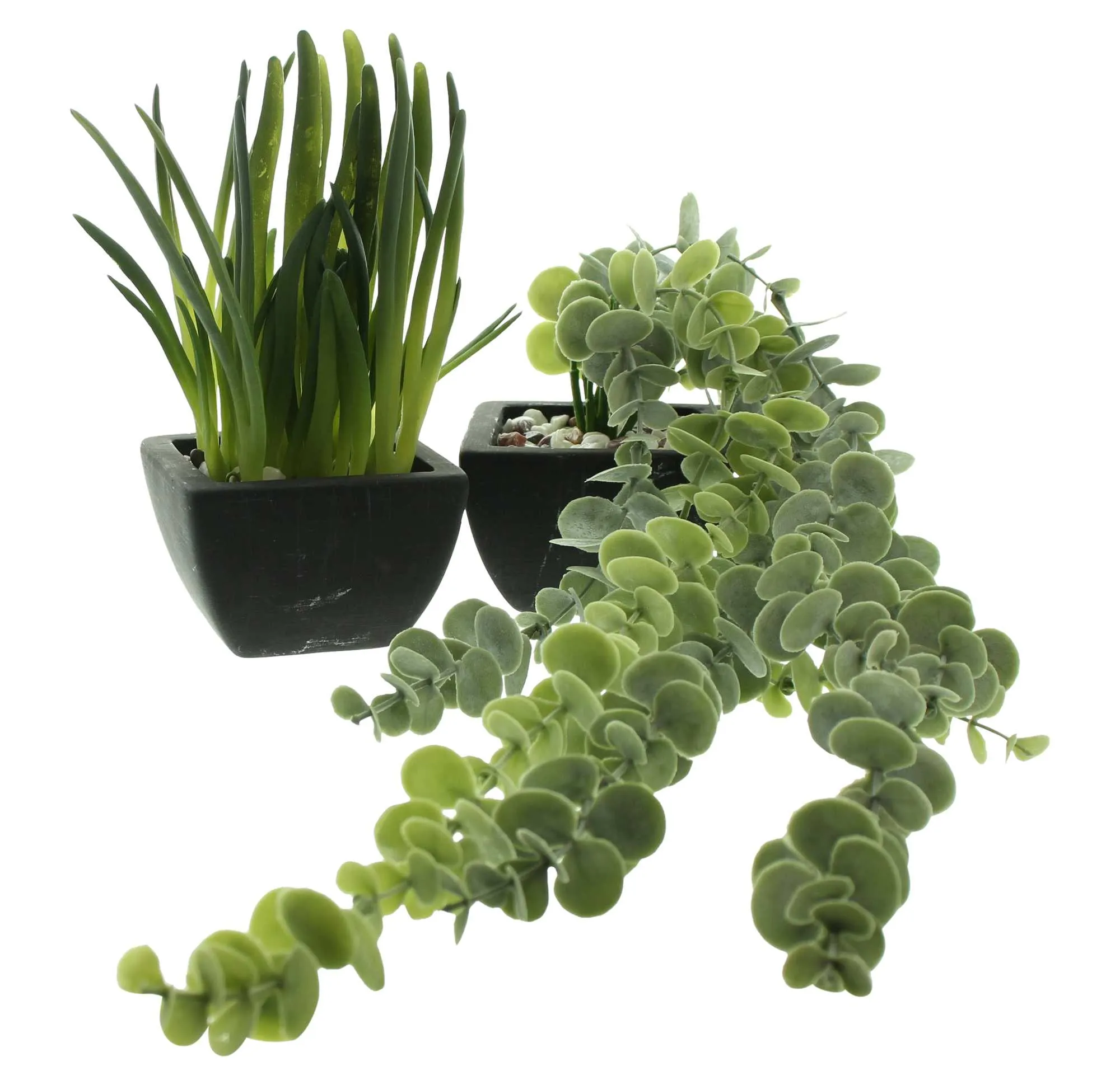 Kunstpflanze "Zimmergrün", 2er Set  im Frank Flechtwaren Online Shop für Kunstpflanzen kaufen
