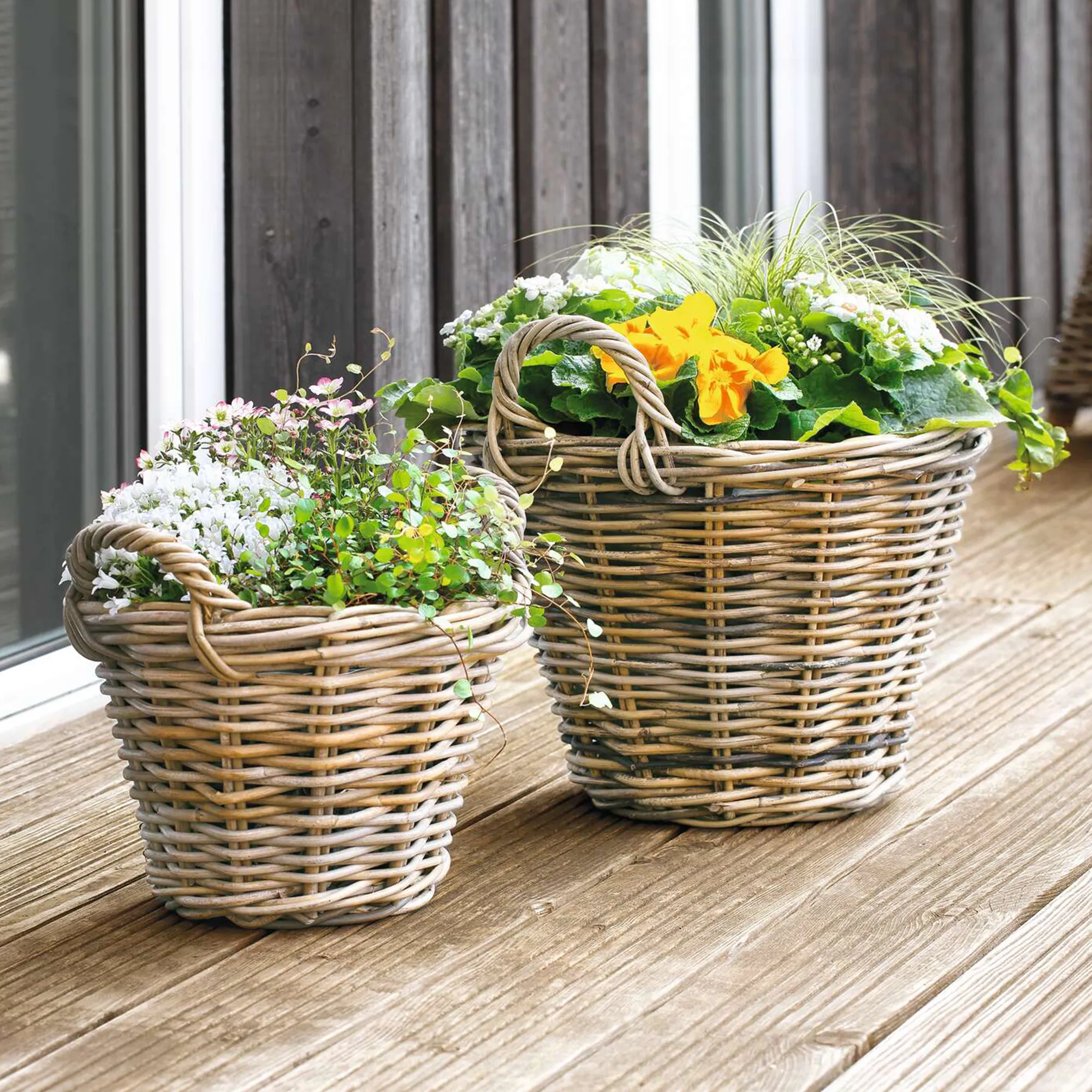 Pflanzkorb "Rattan", groß  im Frank Flechtwaren Online Shop kaufen