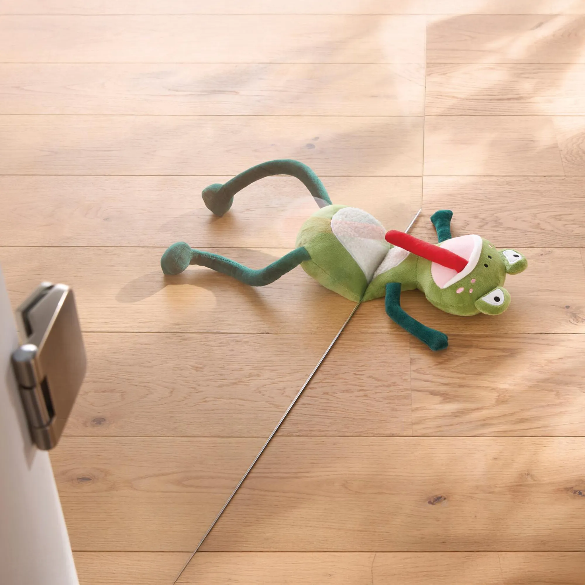 Türstopper "Flat Frog"  im Frank Flechtwaren Online Shop kaufen