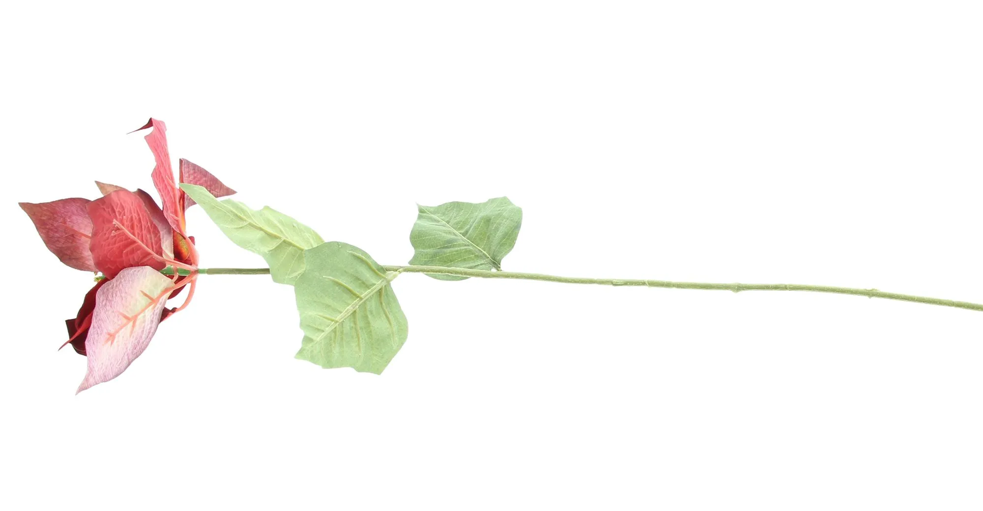 Kunstblume "Weihnachtsstern", 2er Set  im Frank Flechtwaren Online Shop für Gestecke kaufen