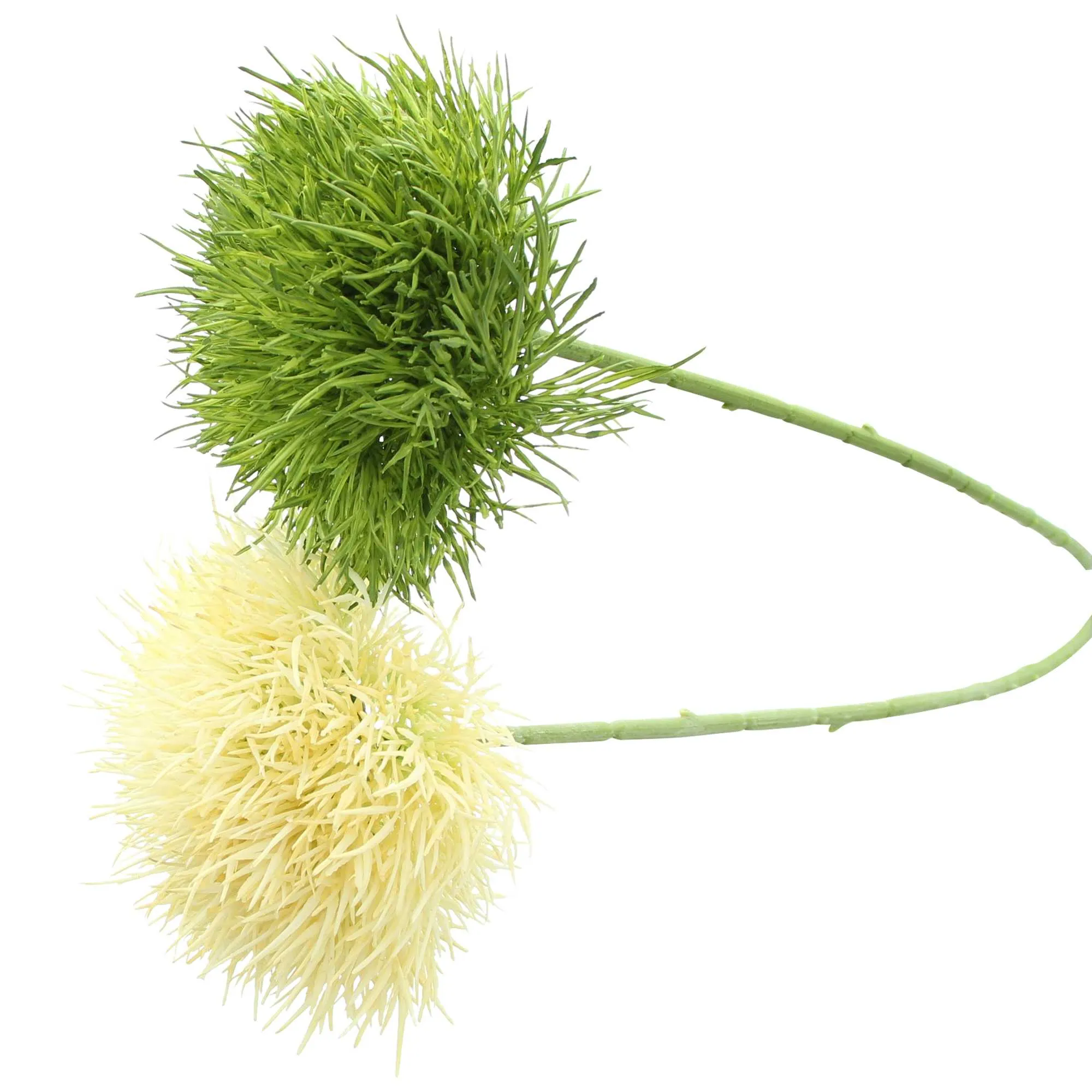 Pflanze "Kugelblume", 2er Set  im Frank Flechtwaren Online Shop für Kunstpflanzen kaufen