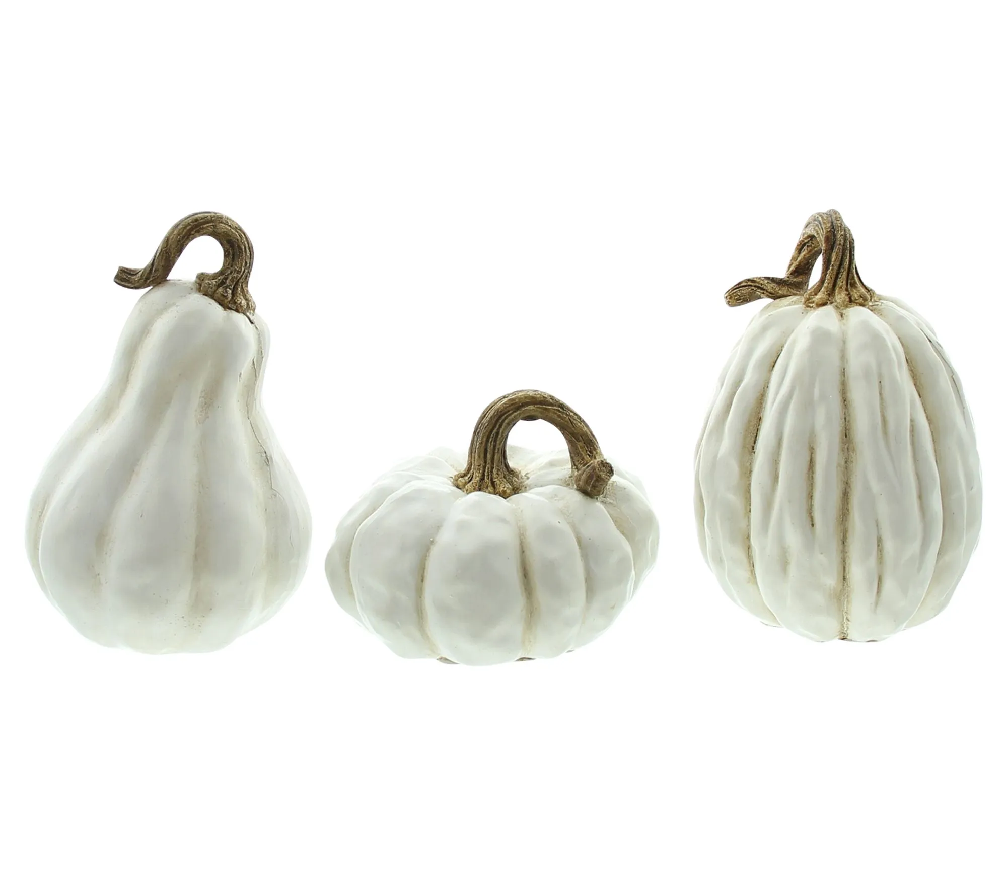 Kürbis "White", 3er Set  im Frank Flechtwaren Online Shop für Dekokürbisse kaufen