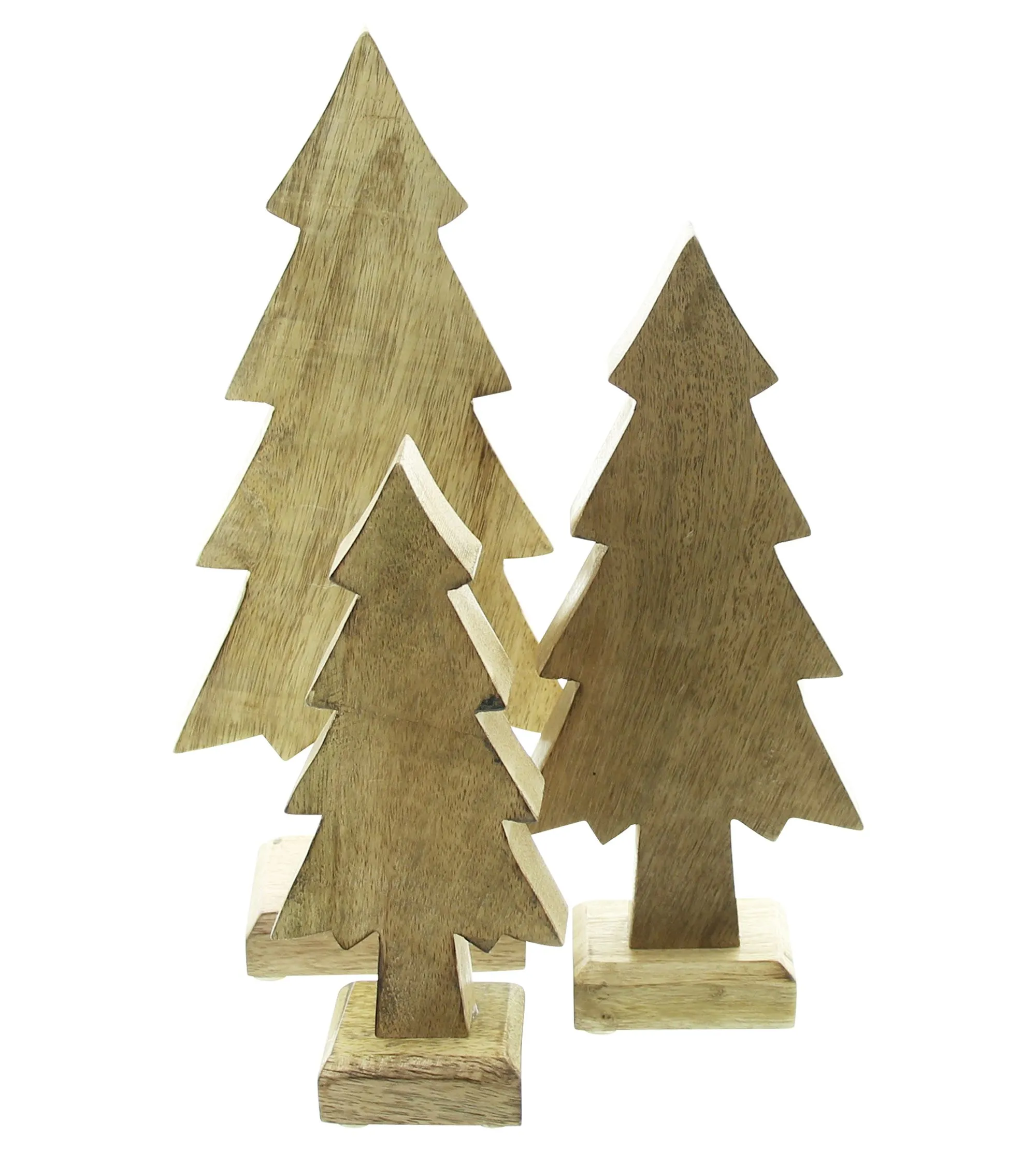 Tanne "Mangoholz", 3er Set  im Frank Flechtwaren Online Shop für Tannenbäume kaufen