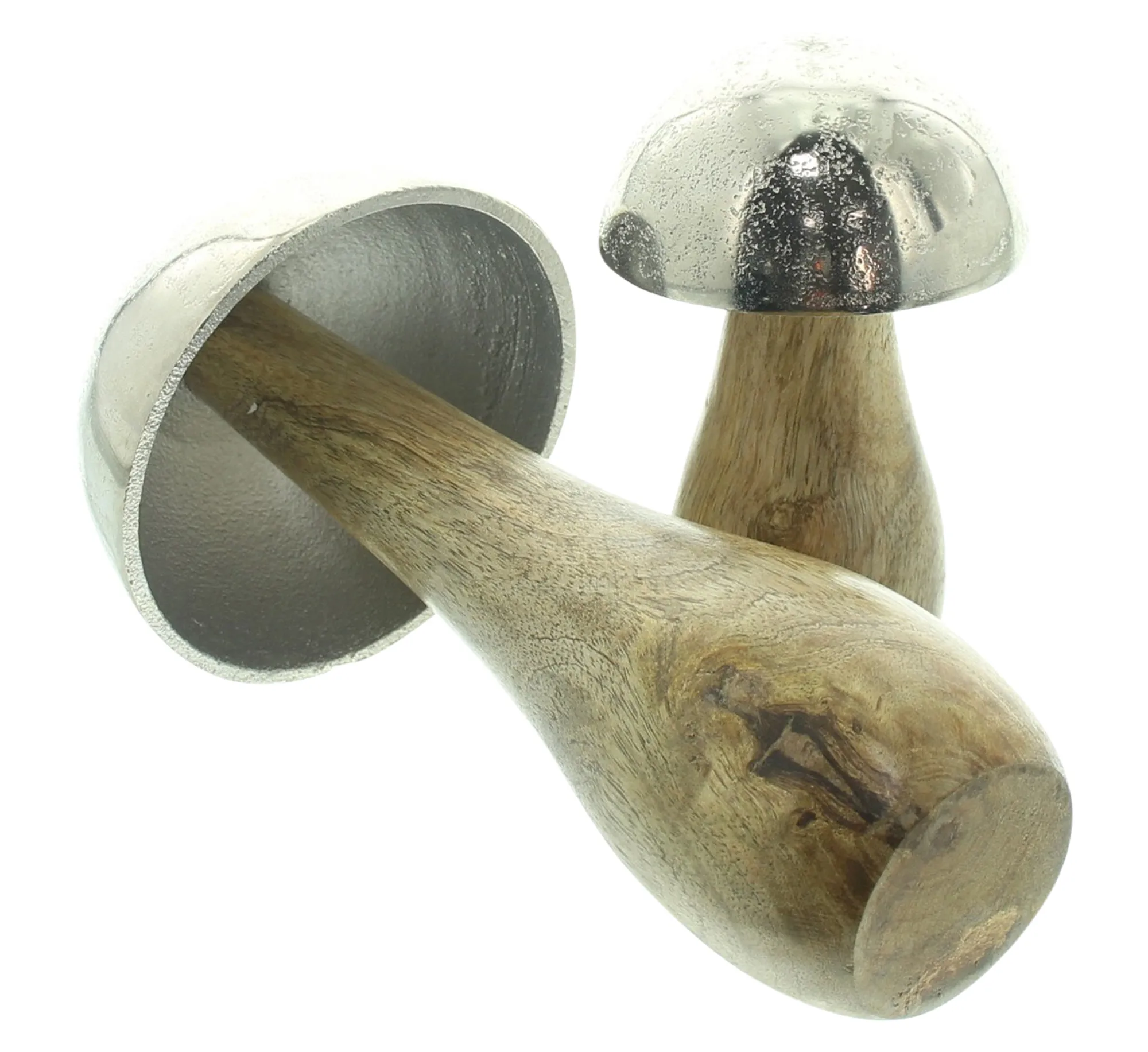 Pilz "Mangoholz", 2er Set  im Frank Flechtwaren Online Shop für Dekopilze kaufen