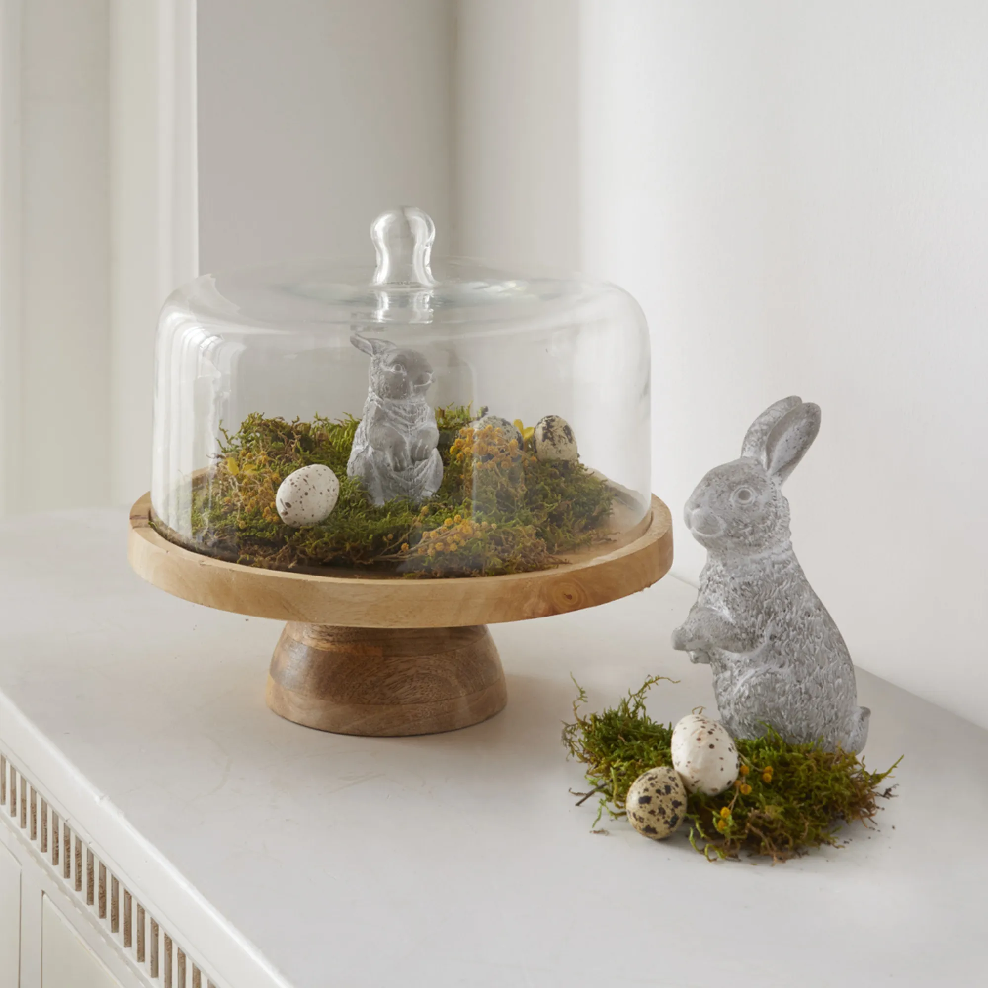 Servierplatte "Mangoholz" mit Glasglocke  im Frank Flechtwaren Online Shop für Festlich eingedeckt kaufen