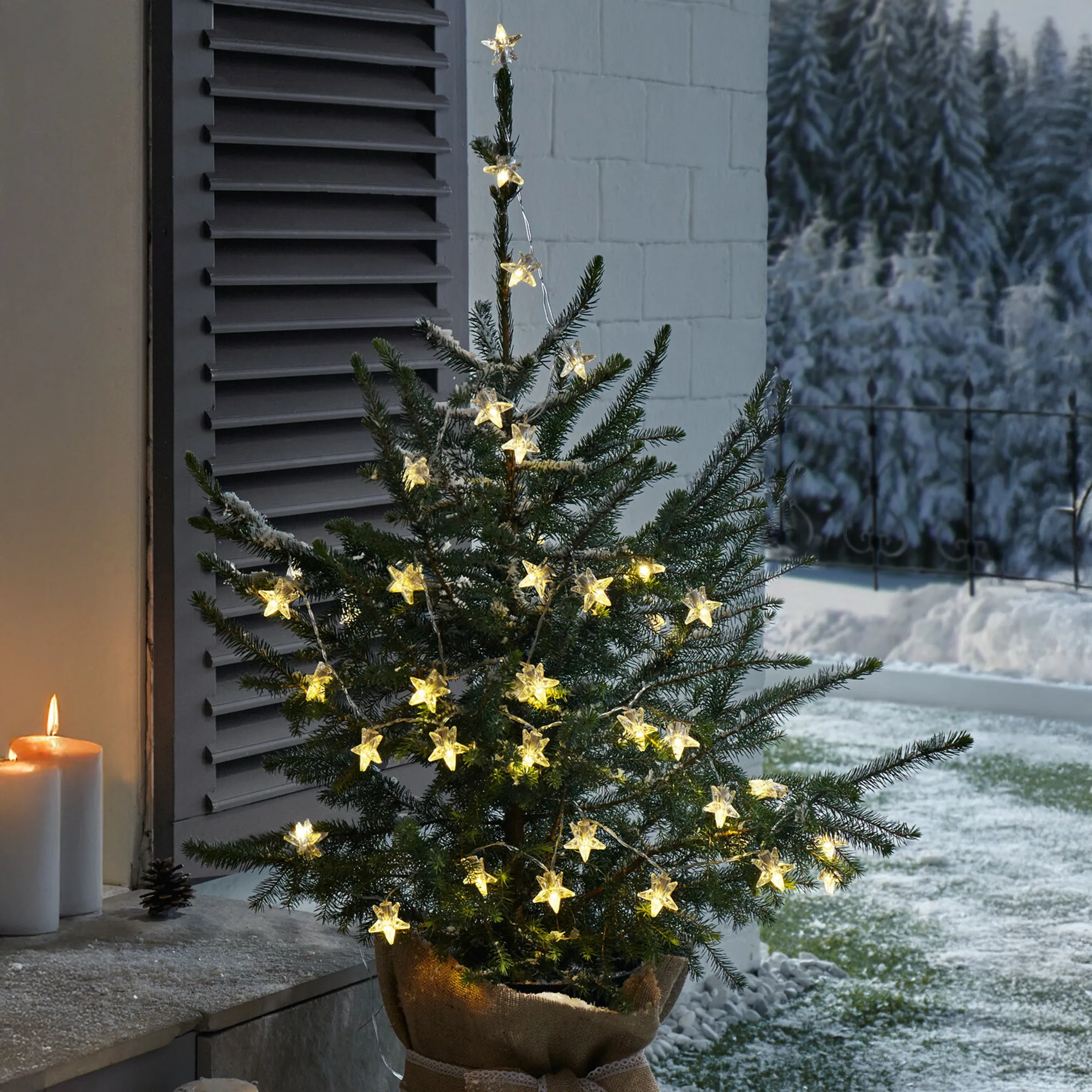 LED-Lichterkette "Sterne"  im Frank Flechtwaren Online Shop kaufen