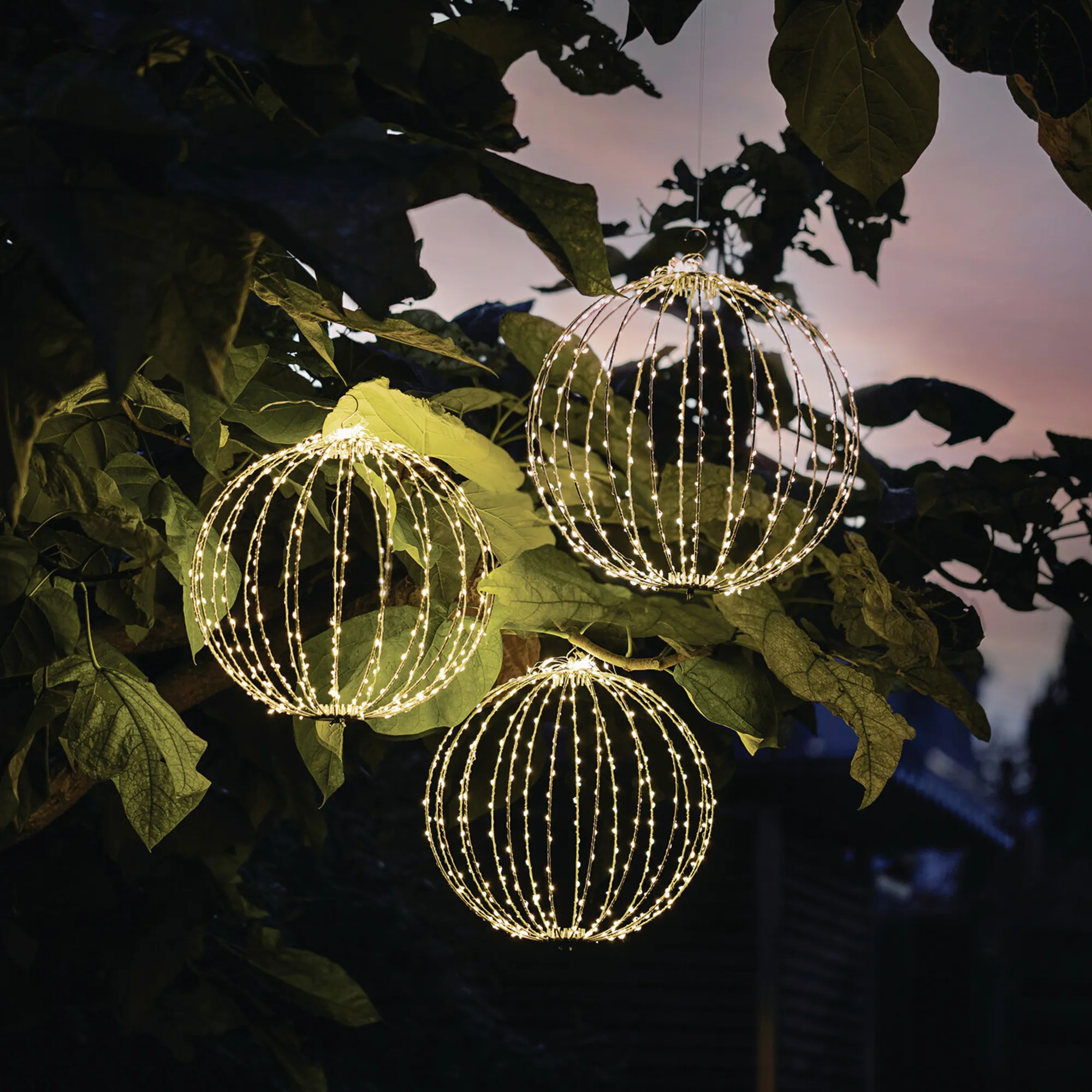 LED-Kugel "Shine", groß  im Frank Flechtwaren Online Shop für LED-Beleuchtung kaufen