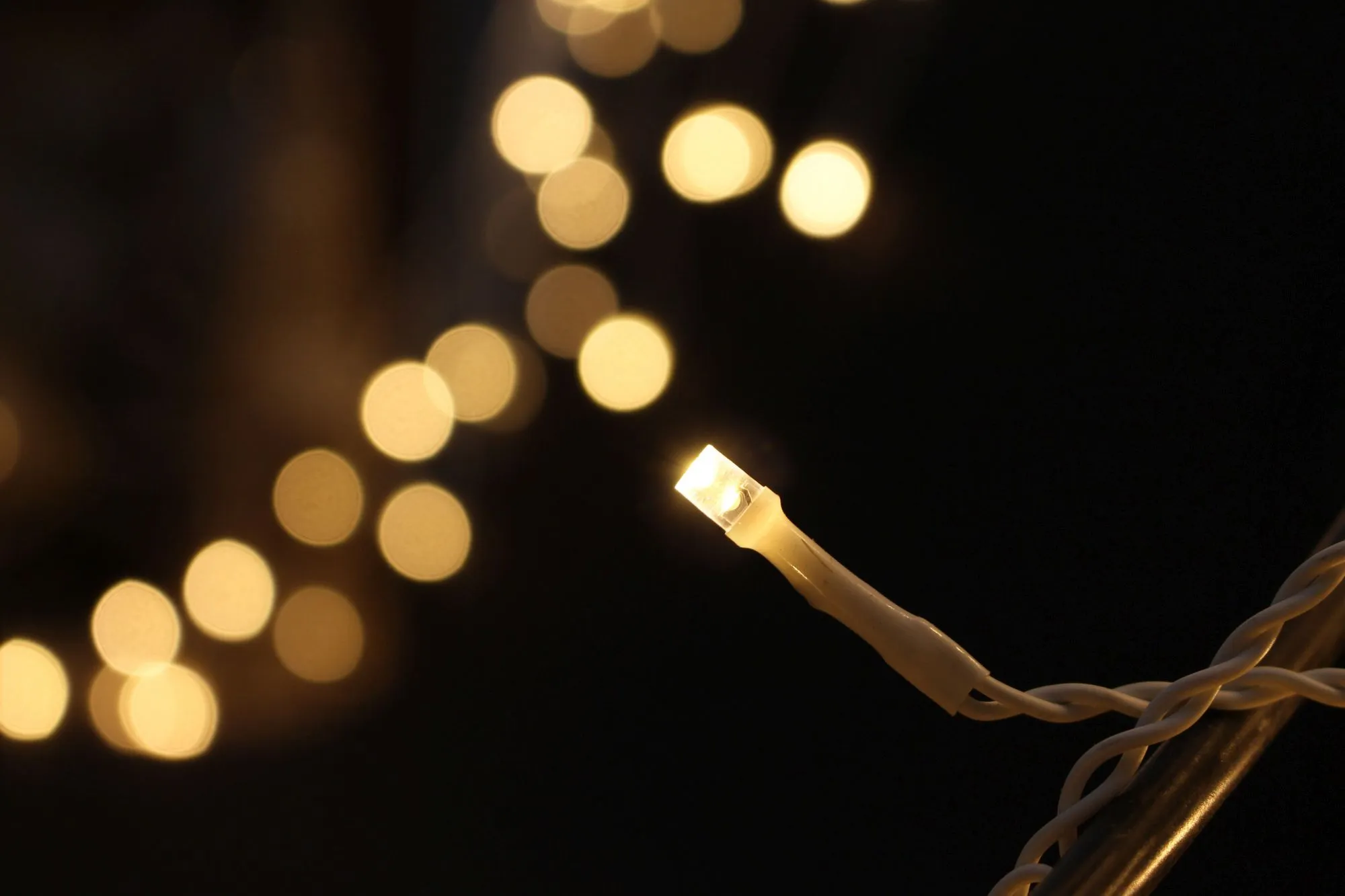 LED-Lichtervorhang "White"  im Frank Flechtwaren Online Shop für LED-Lichterketten kaufen