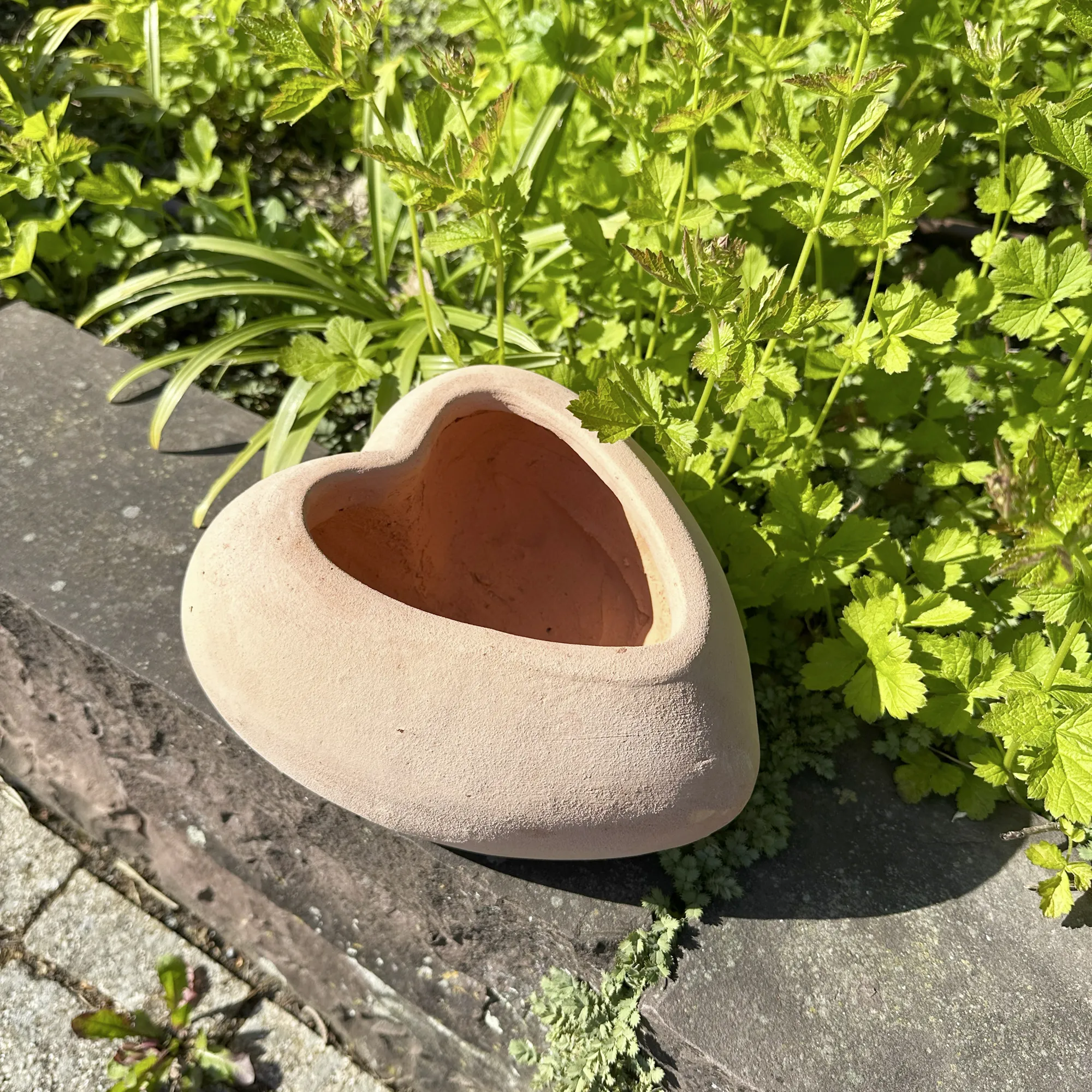 Pflanzherz "Terra"  im Frank Flechtwaren Online Shop für Herzflattern kaufen