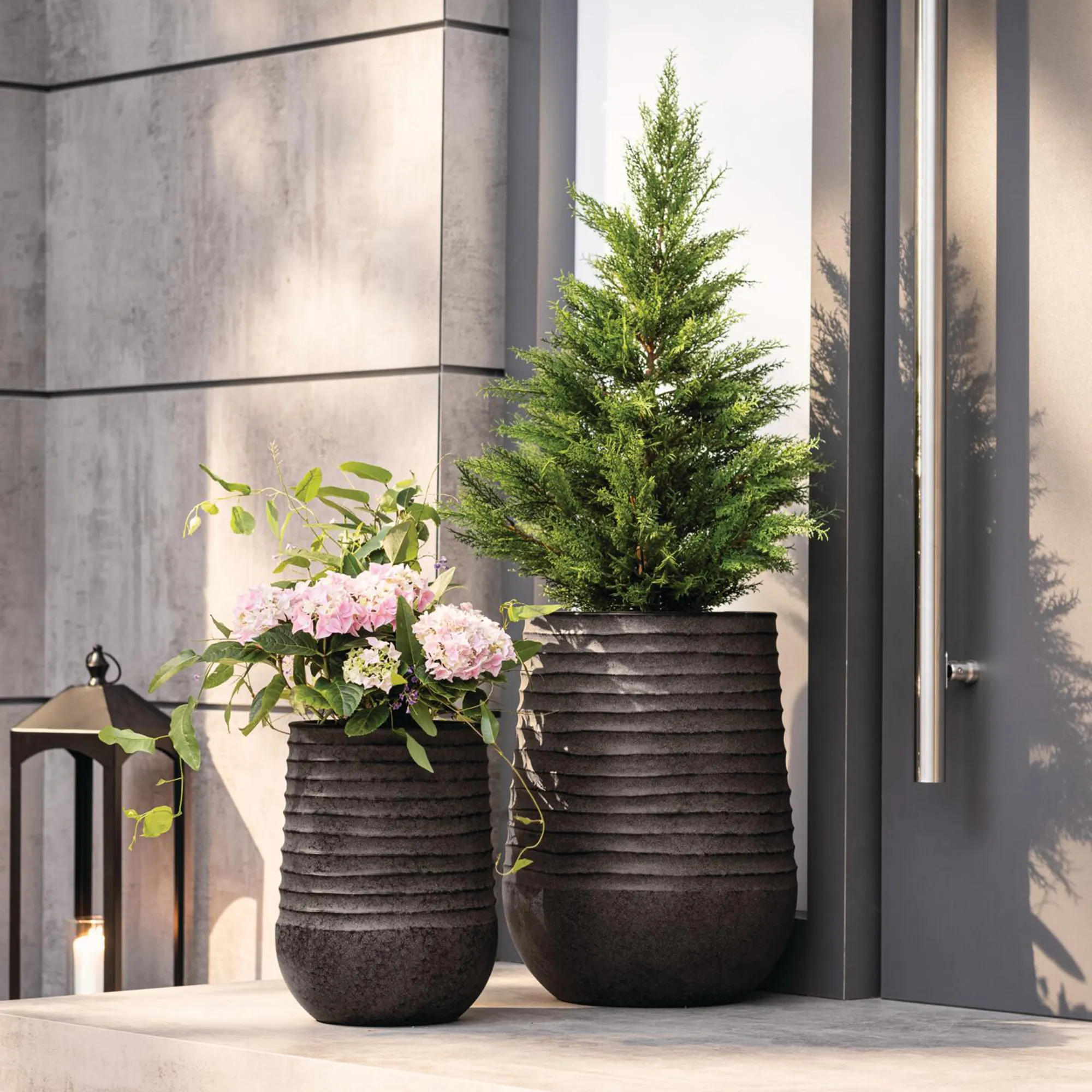 Kunstpflanze "Konifere"  im Frank Flechtwaren Online Shop für Weihnachtliche Gartendeko kaufen