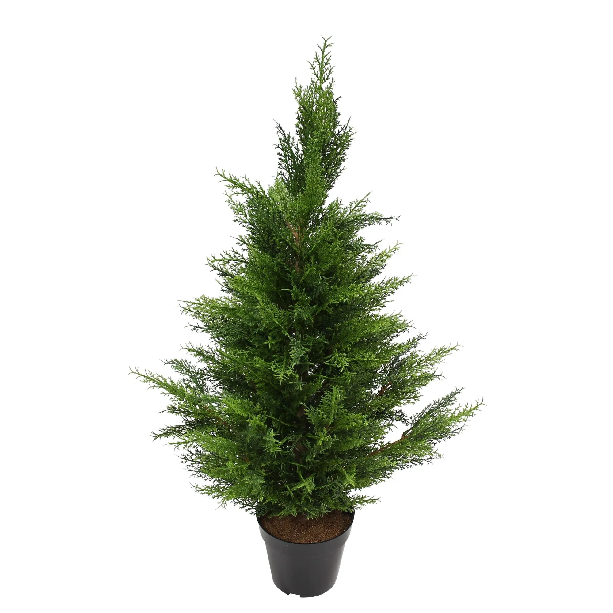 Kunstpflanze "Konifere"  im Frank Flechtwaren Online Shop für Weihnachtliche Gartendeko kaufen
