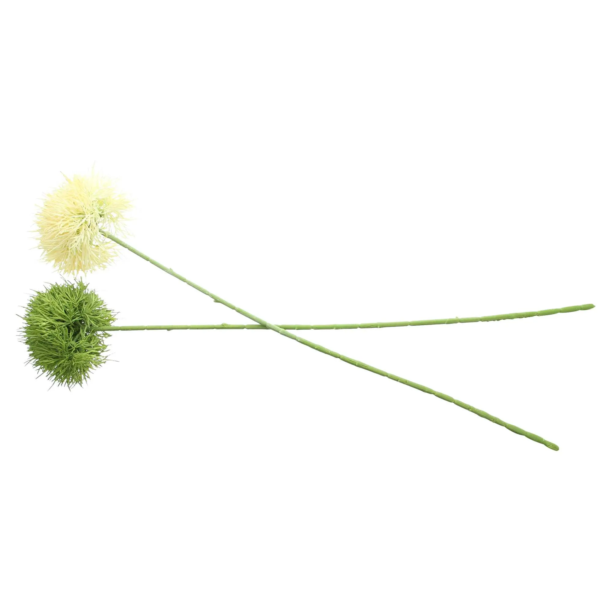 Pflanze "Kugelblume", 2er Set  im Frank Flechtwaren Online Shop kaufen