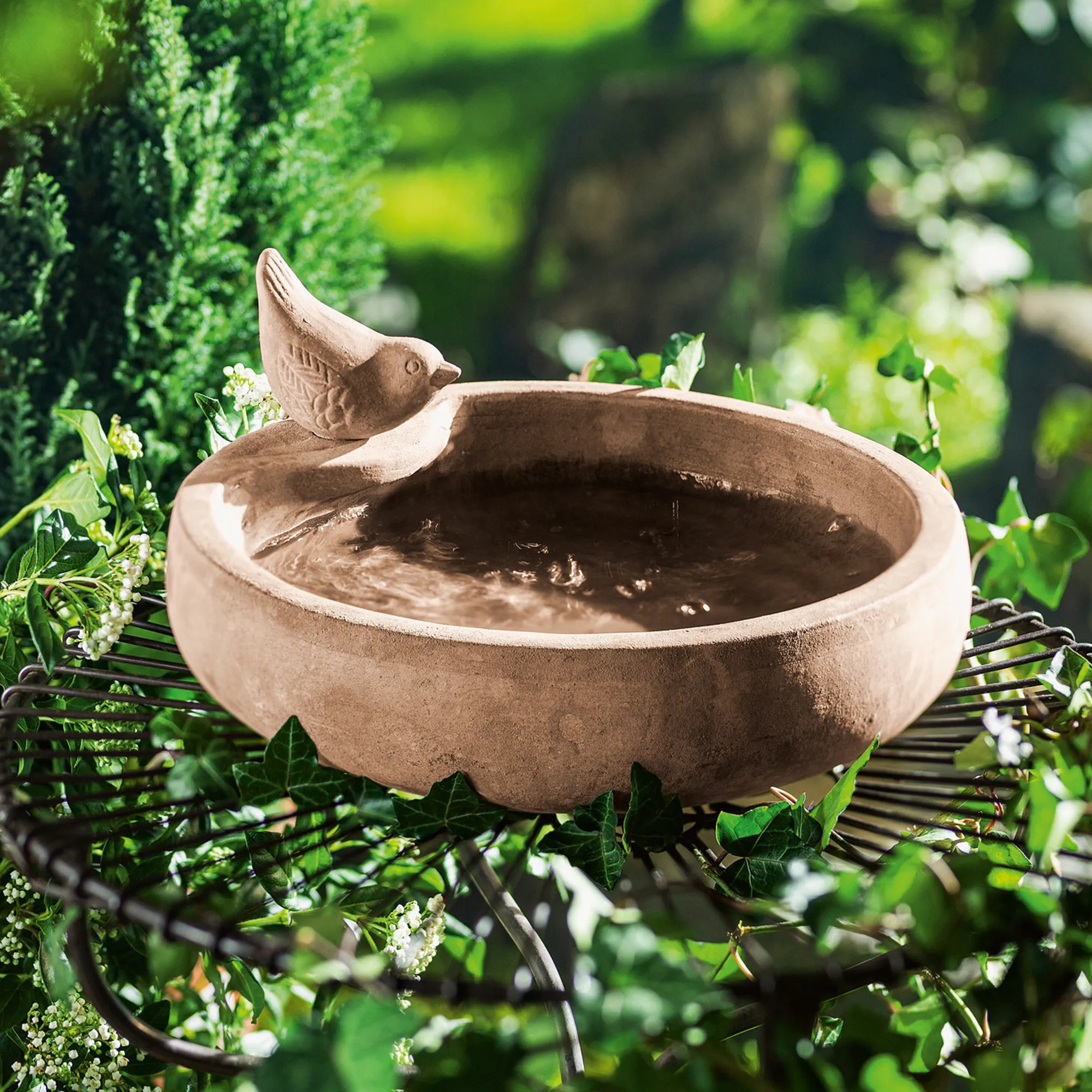 Vogeltränke "Terracotta"  im Frank Flechtwaren Online Shop kaufen