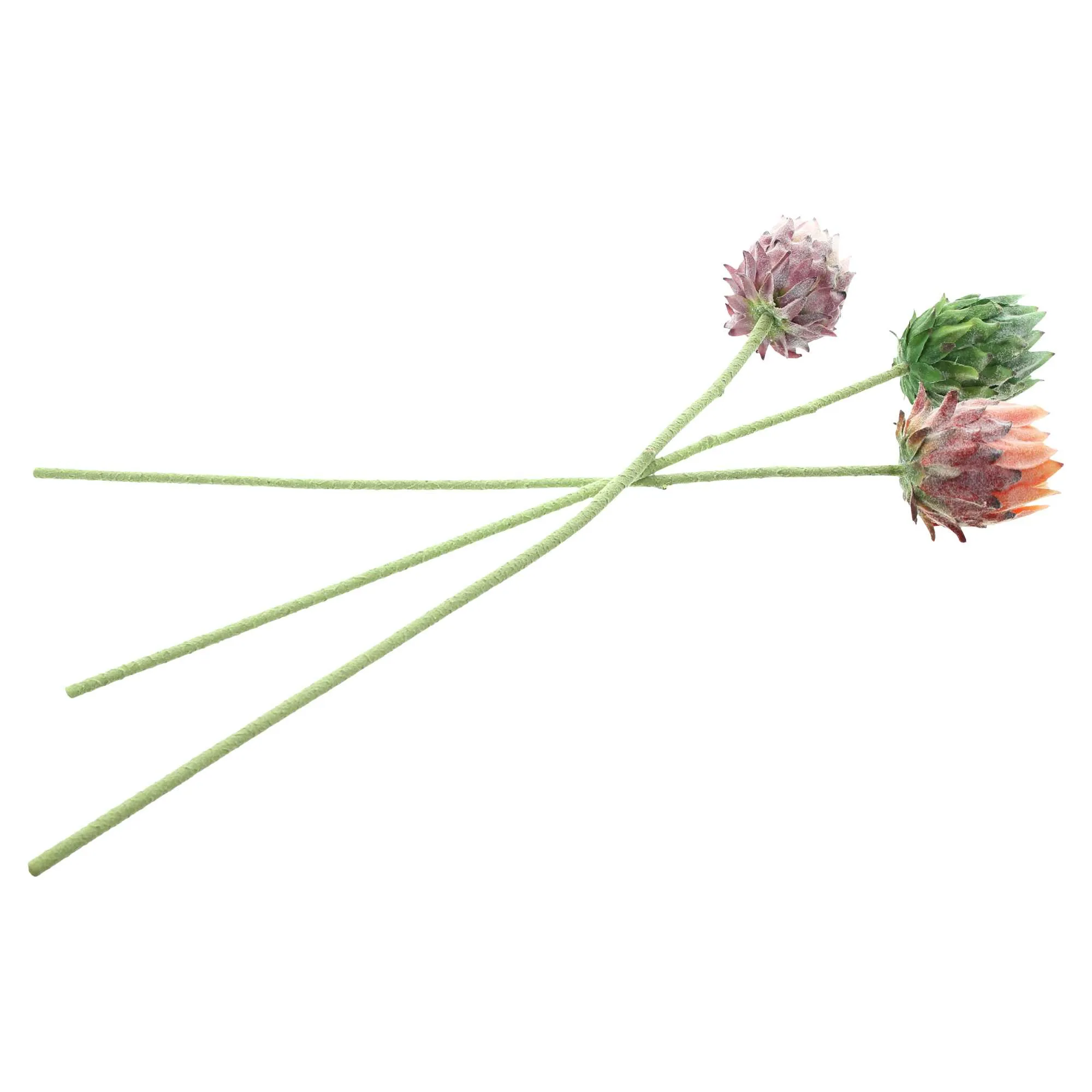 Blume "Protea", 3er Set  im Frank Flechtwaren Online Shop für Kunstpflanzen kaufen