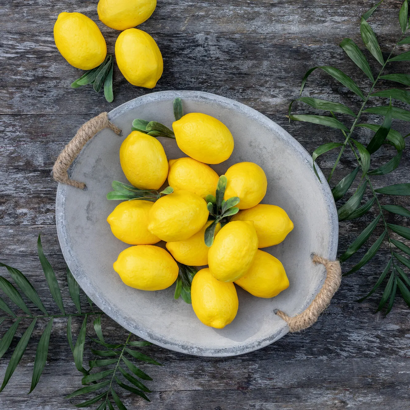 Zitrone, 8er Set  im Frank Flechtwaren Online Shop für Lemon Sorbet kaufen